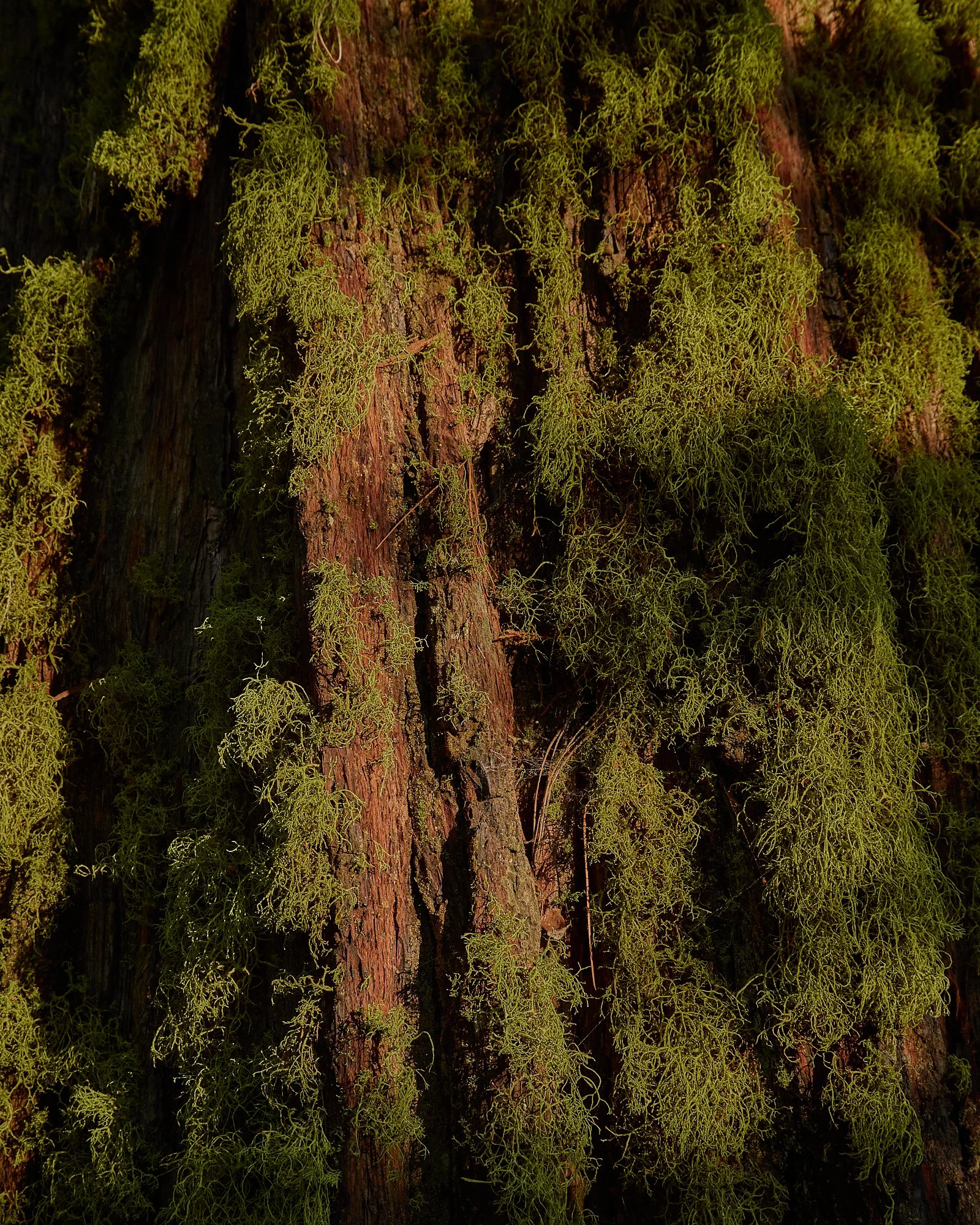 July2025_33.jpg (Copy)