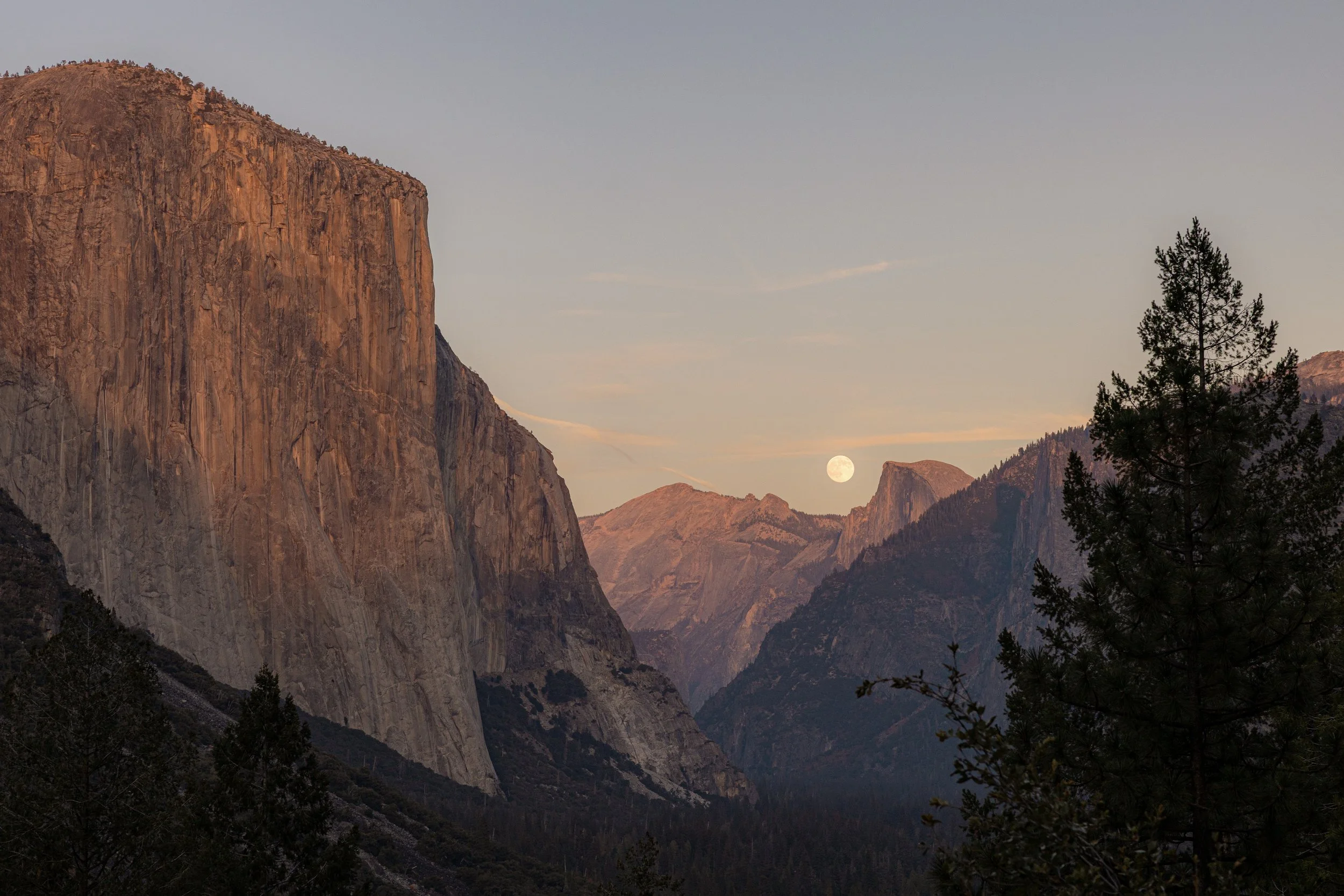 _X6A2814 sml.jpg (Copy)