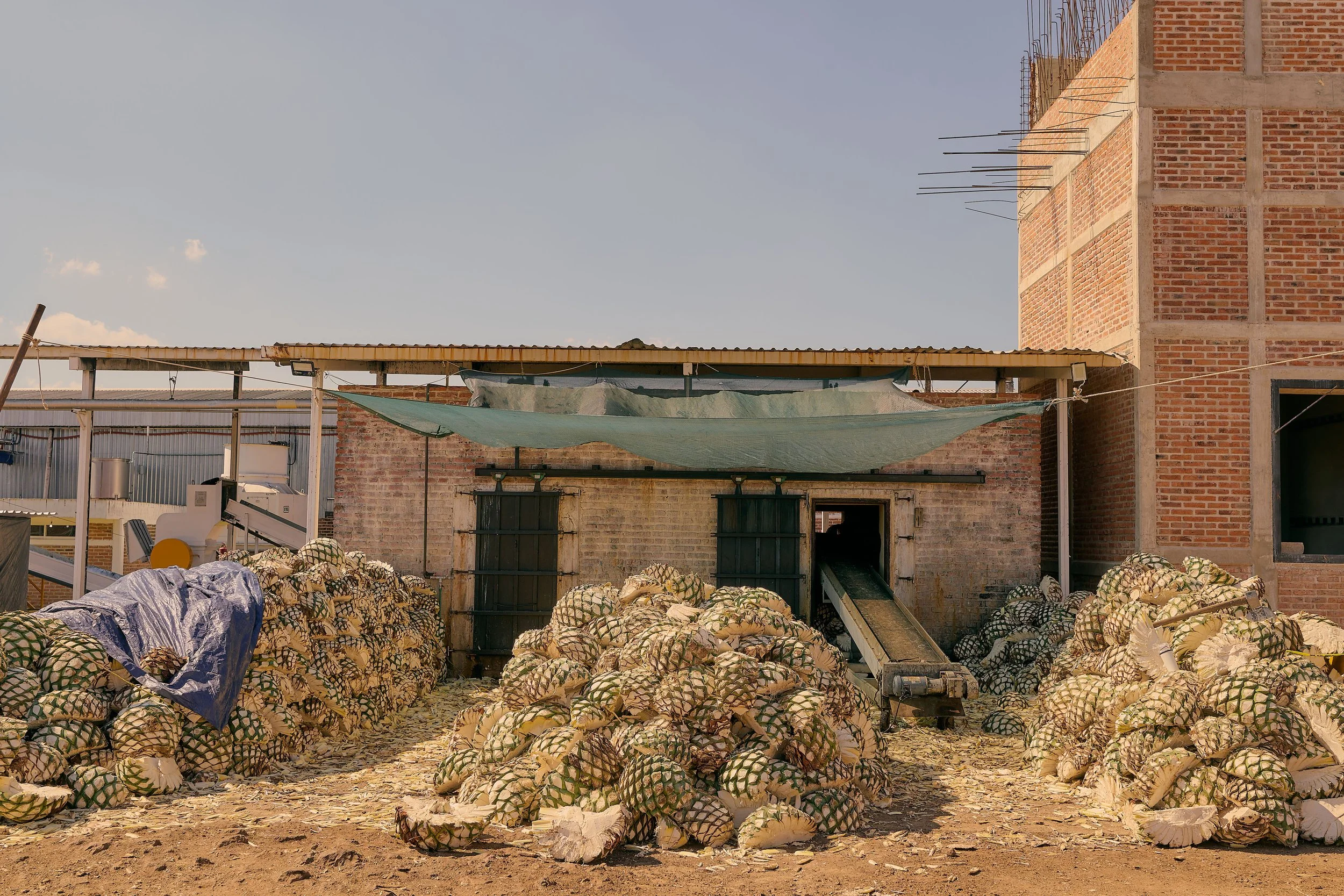 CarettoDeOro-EmSchultzPhoto-14 copy 2.jpg