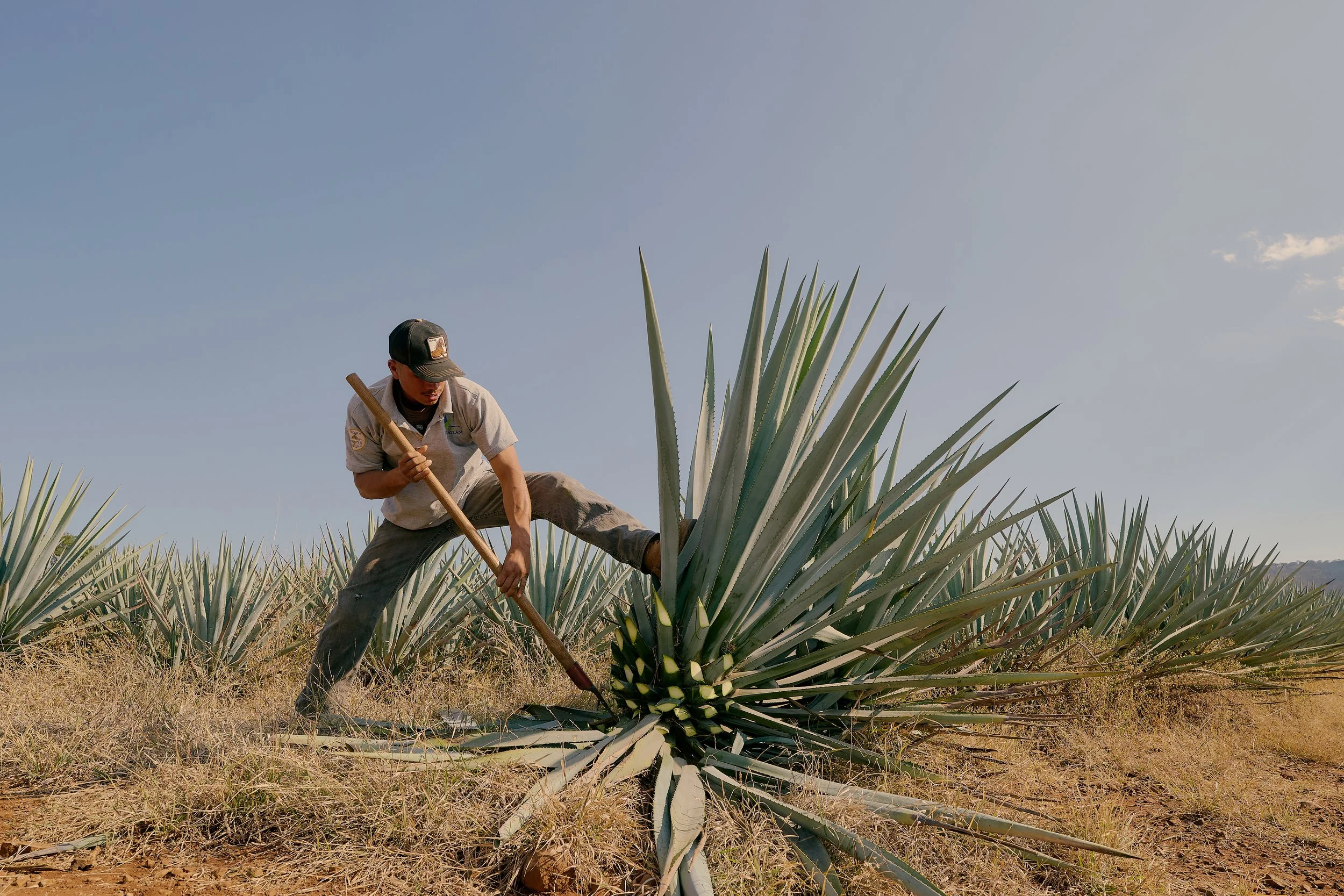 CarettoDeOro-EmSchultzPhoto-58 copy.jpg