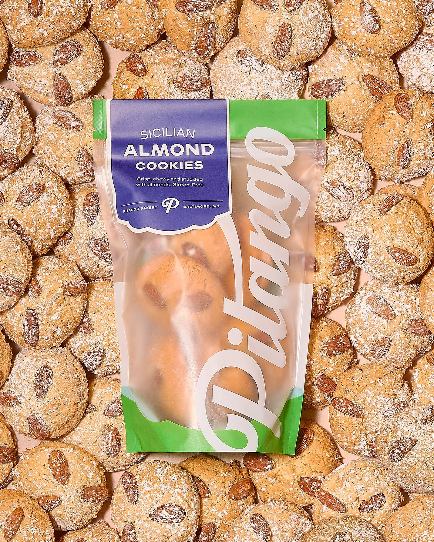 Pitango 2.13.240493Final WEB copy.jpg