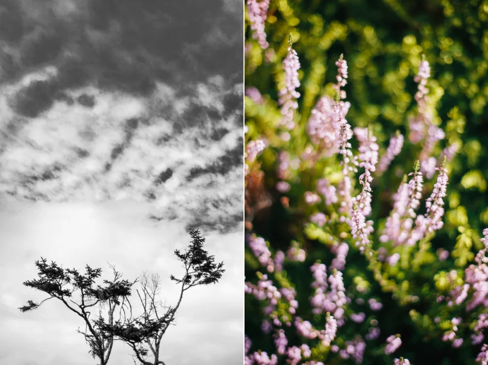 BrieMullin_PortlandPhotographer_0702.jpg