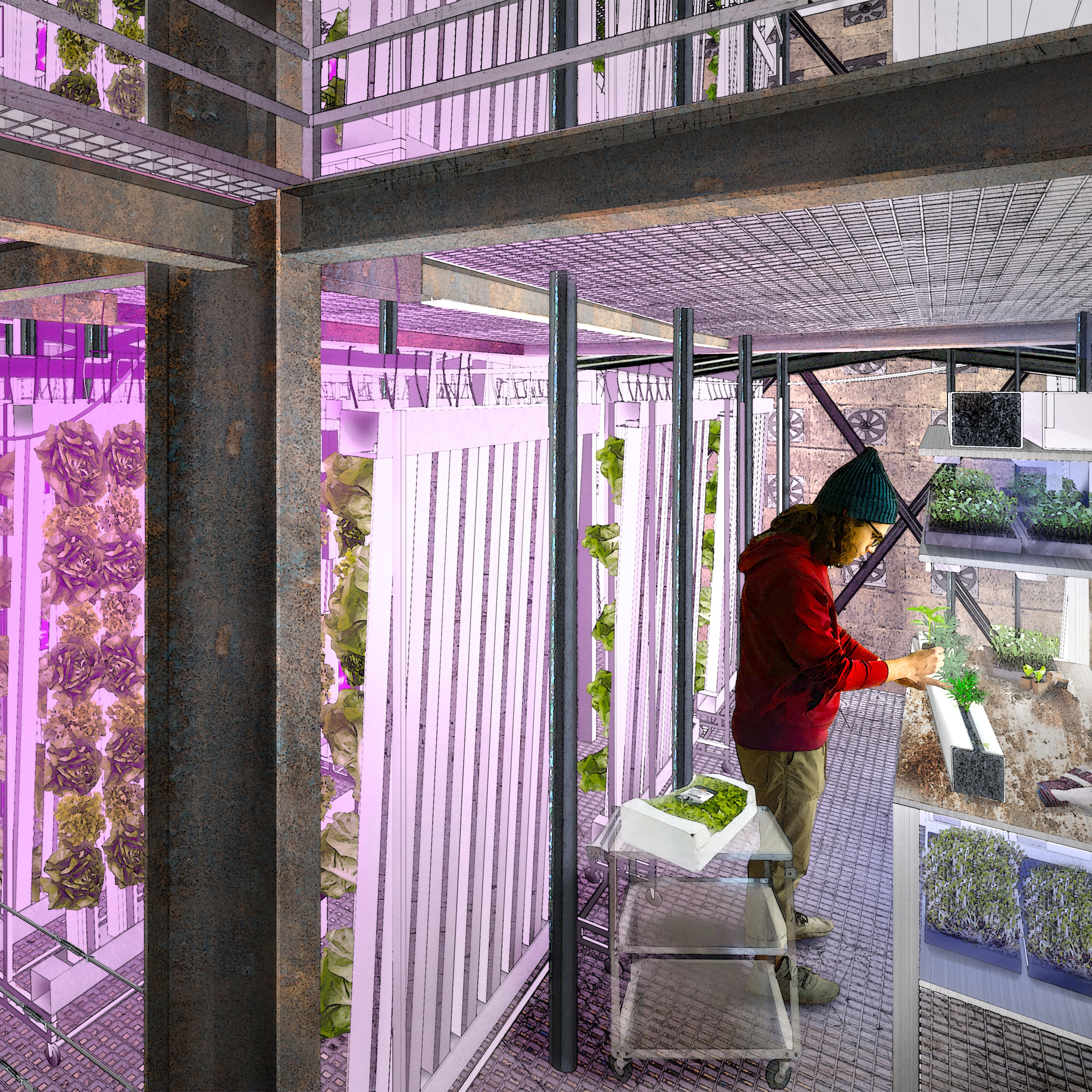 Interior Perspective Square for Squarespace.jpg