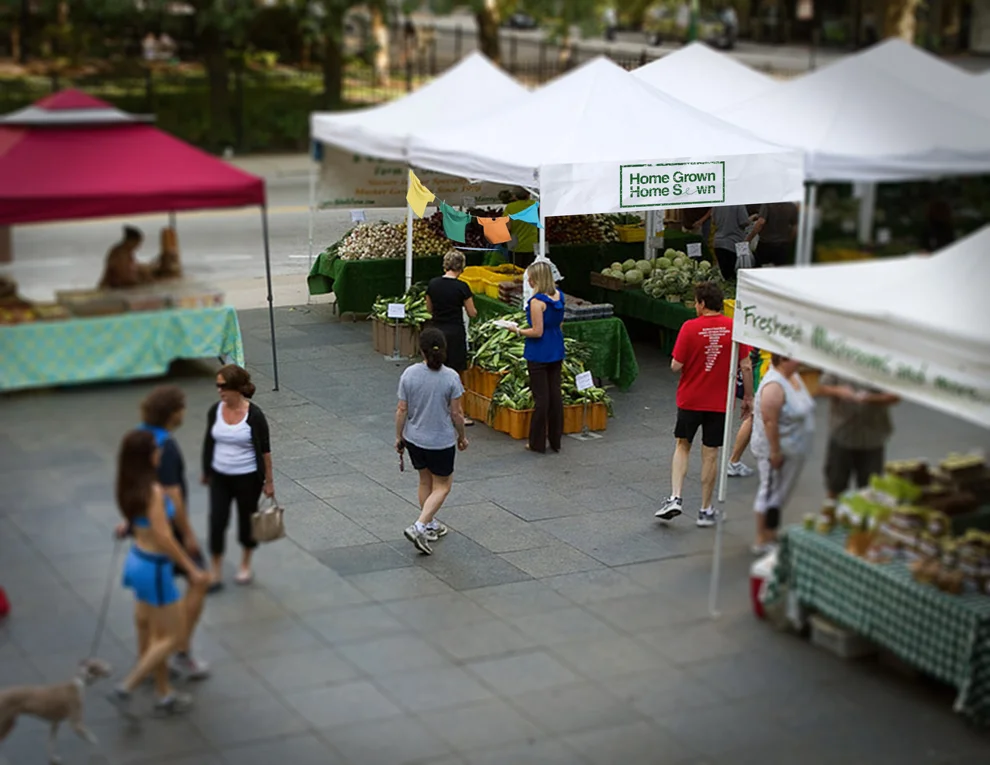 American Apparel will be setting up shop at local farmers markets where consumers will be able to purchase the cotton seeds for their new “Home Grown, Home Sewn” shirt.