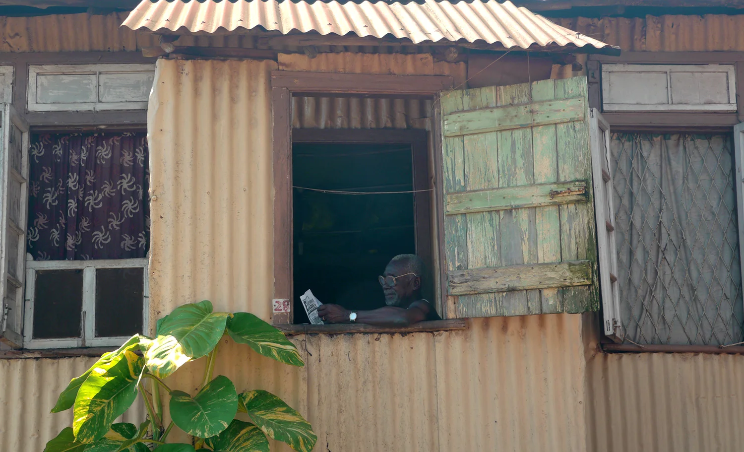 P1130324small.jpg