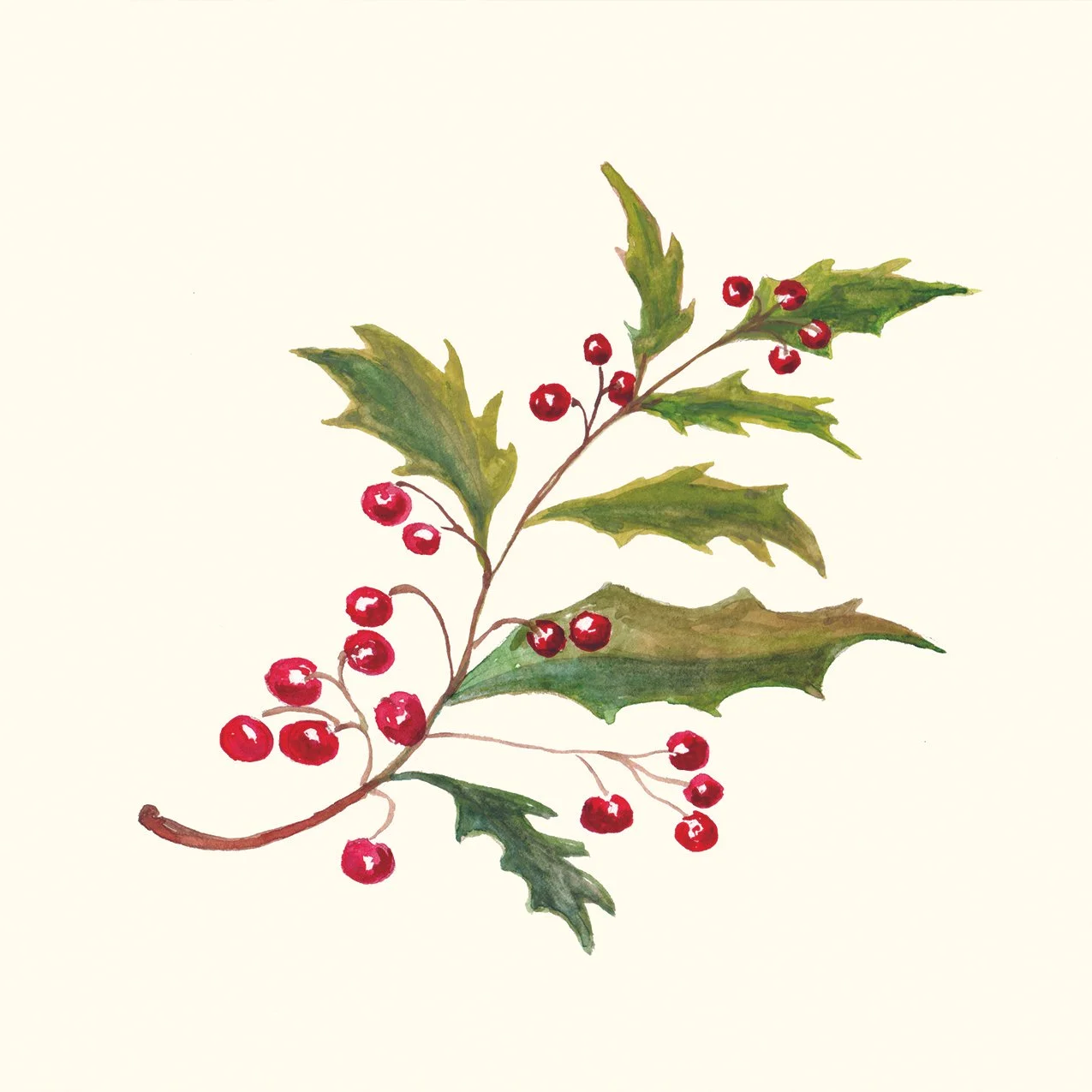 11-holly.jpg