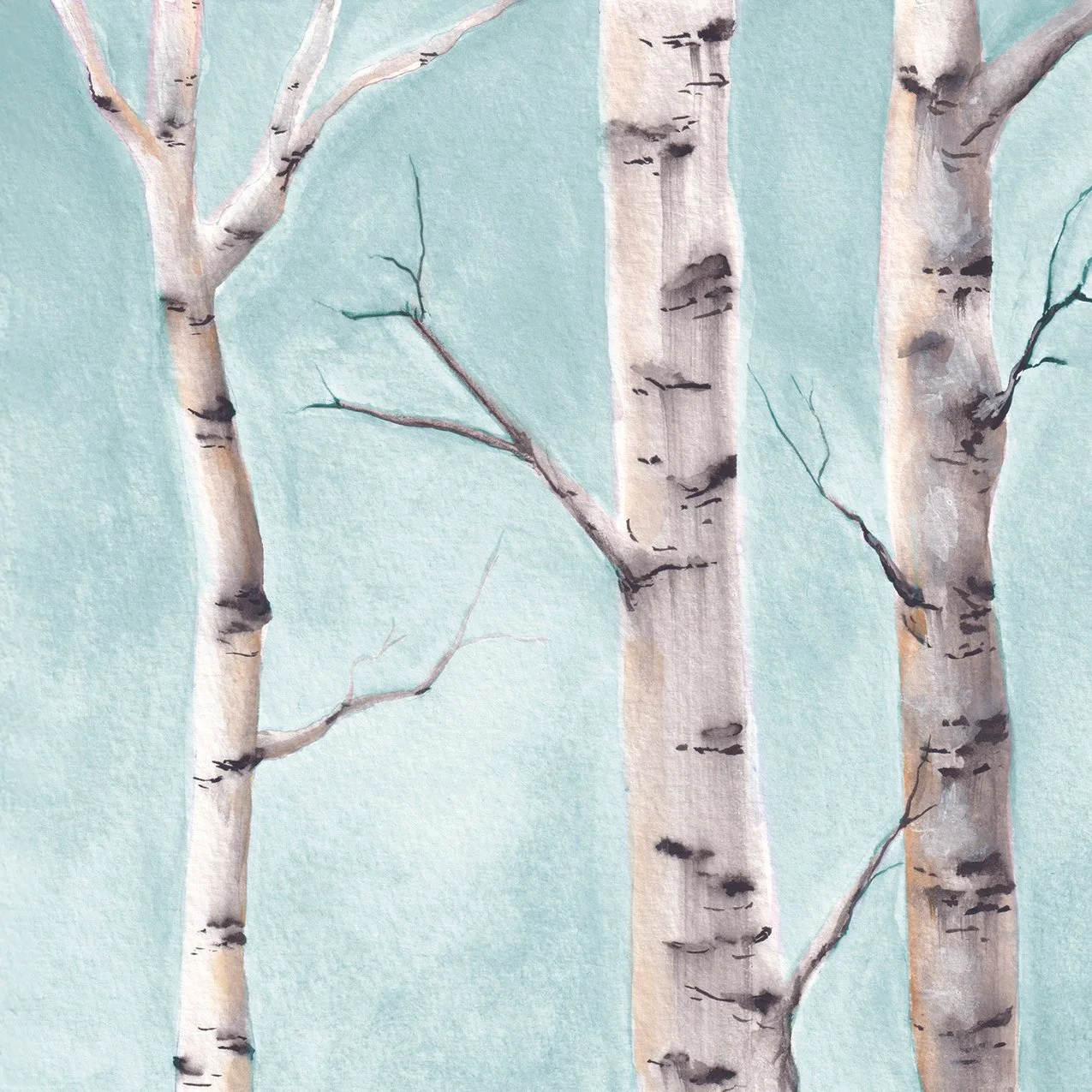 10-birch2.jpg