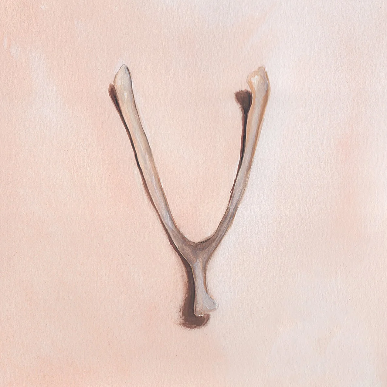 5-wishbone.jpg