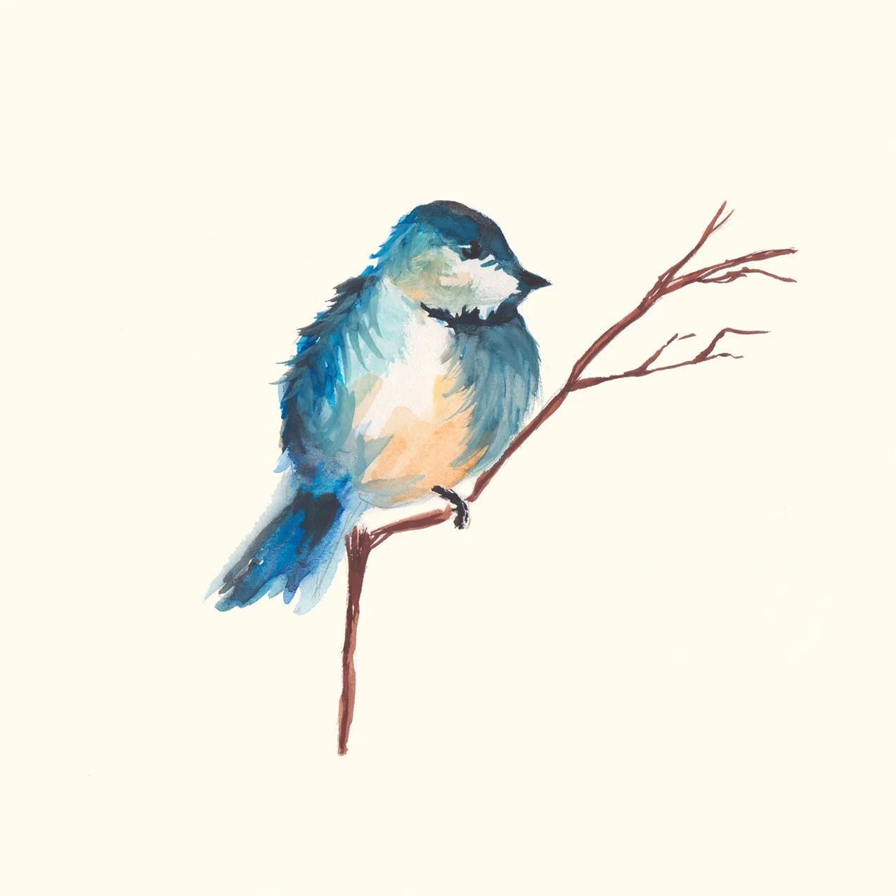 2-bird.jpg