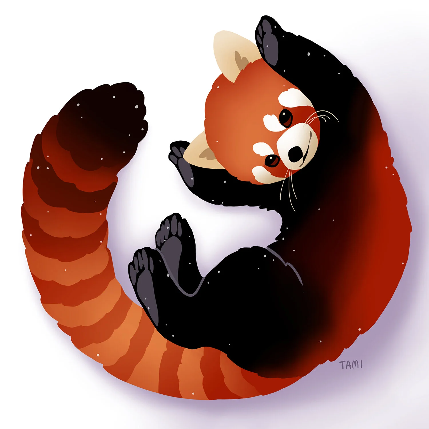 red_panda.jpg