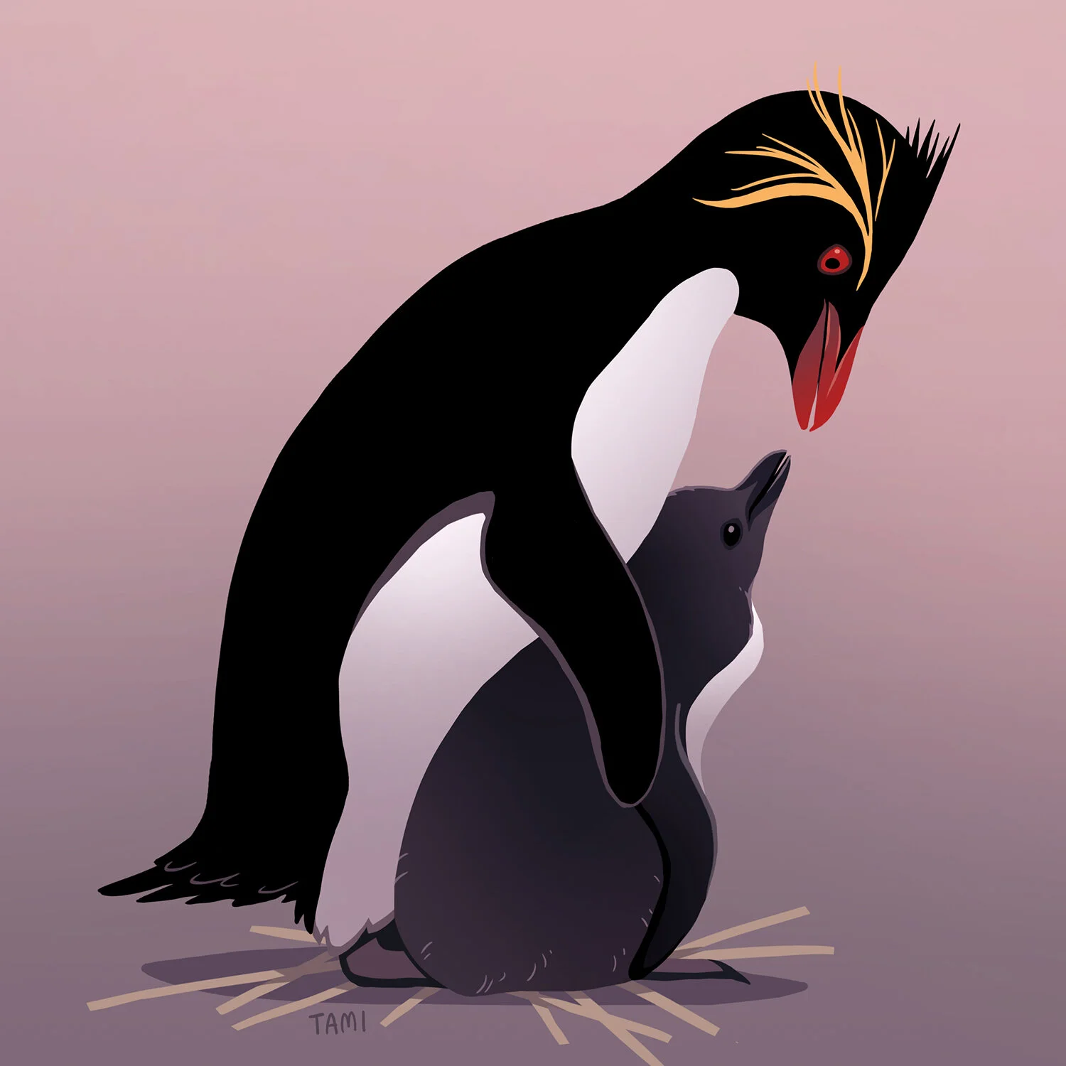 northern_rockhopper_penguin.jpg