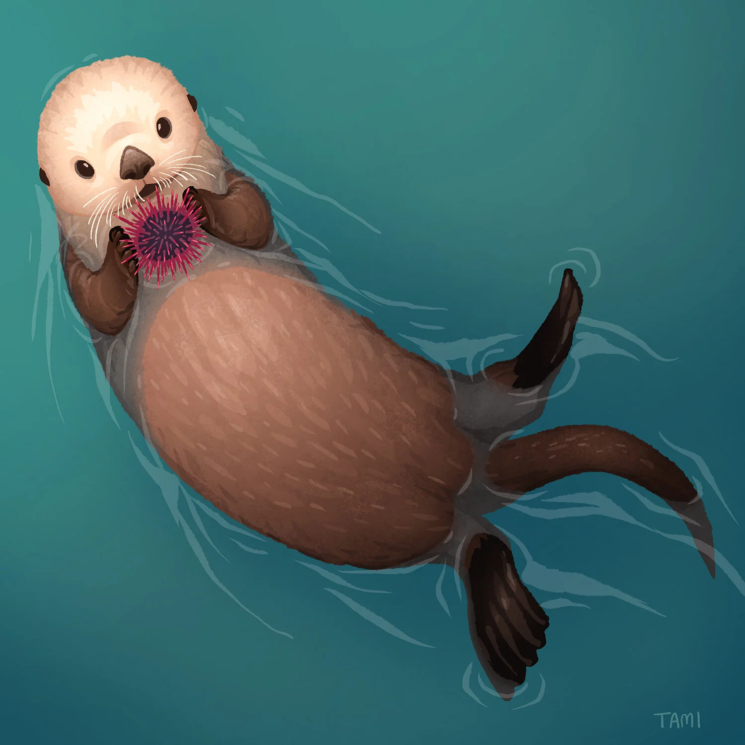 sea_otter.jpg