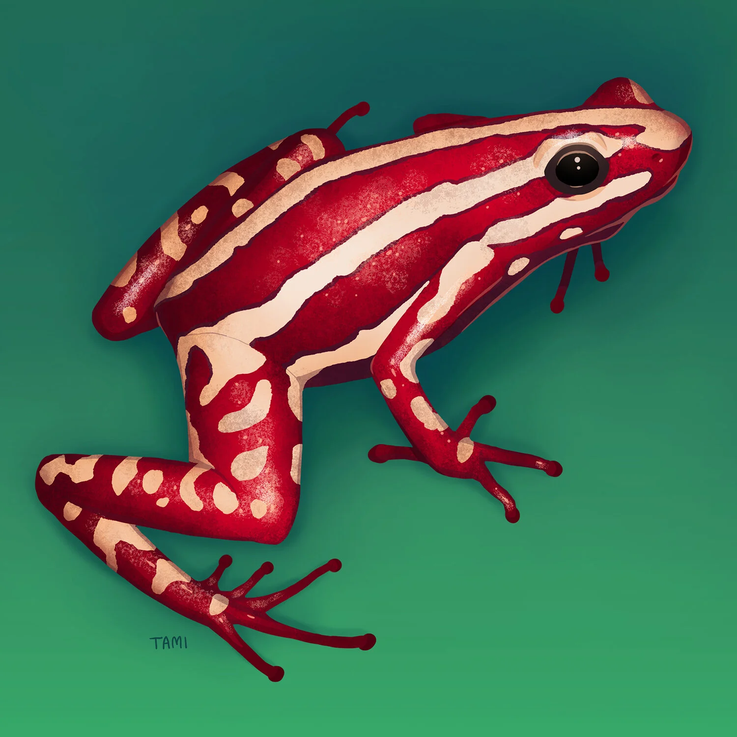 phantasmal_poison_frog.jpg