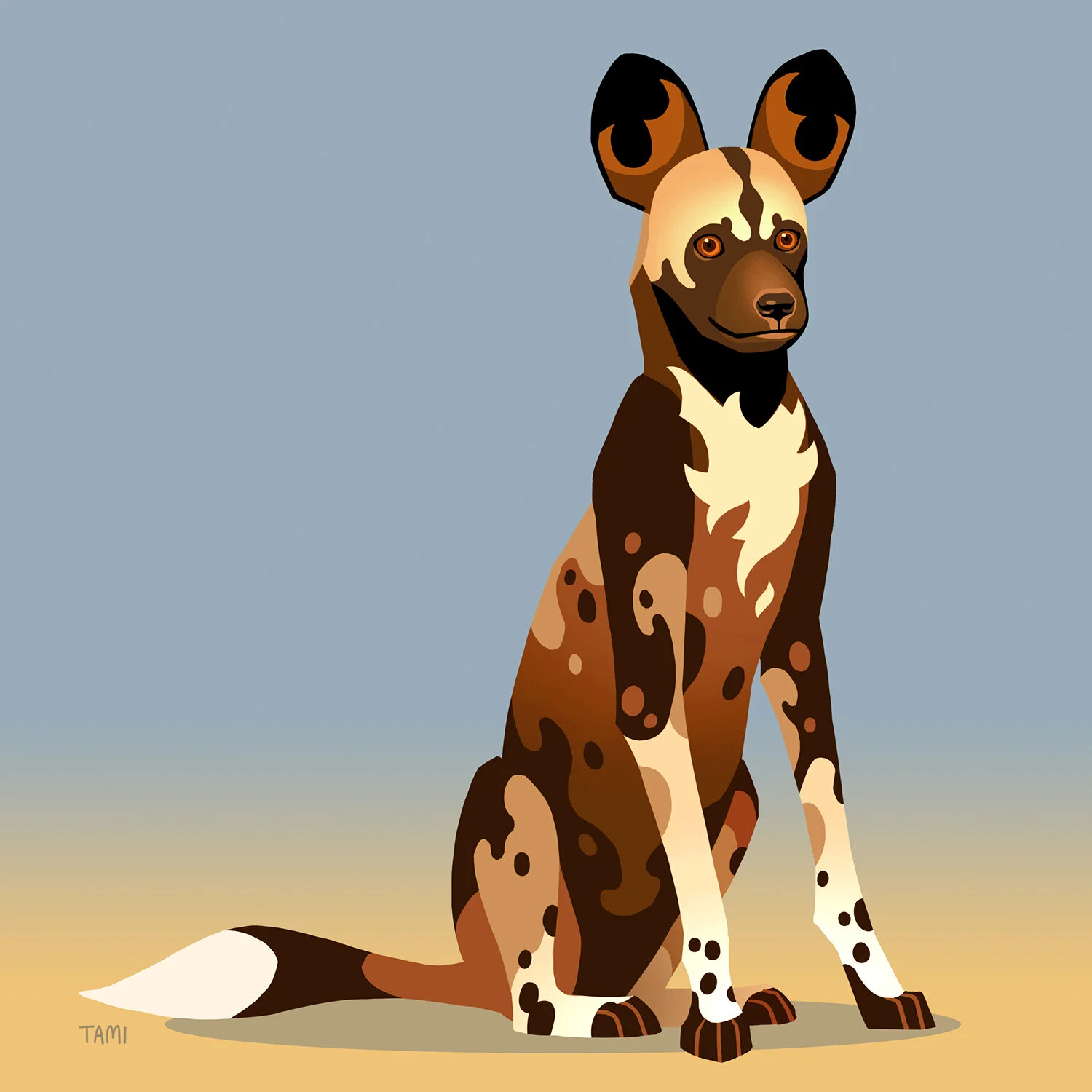 african_wild_dog.jpg