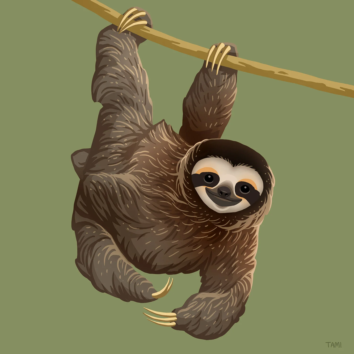 pygmy_threetoed_sloth.jpg