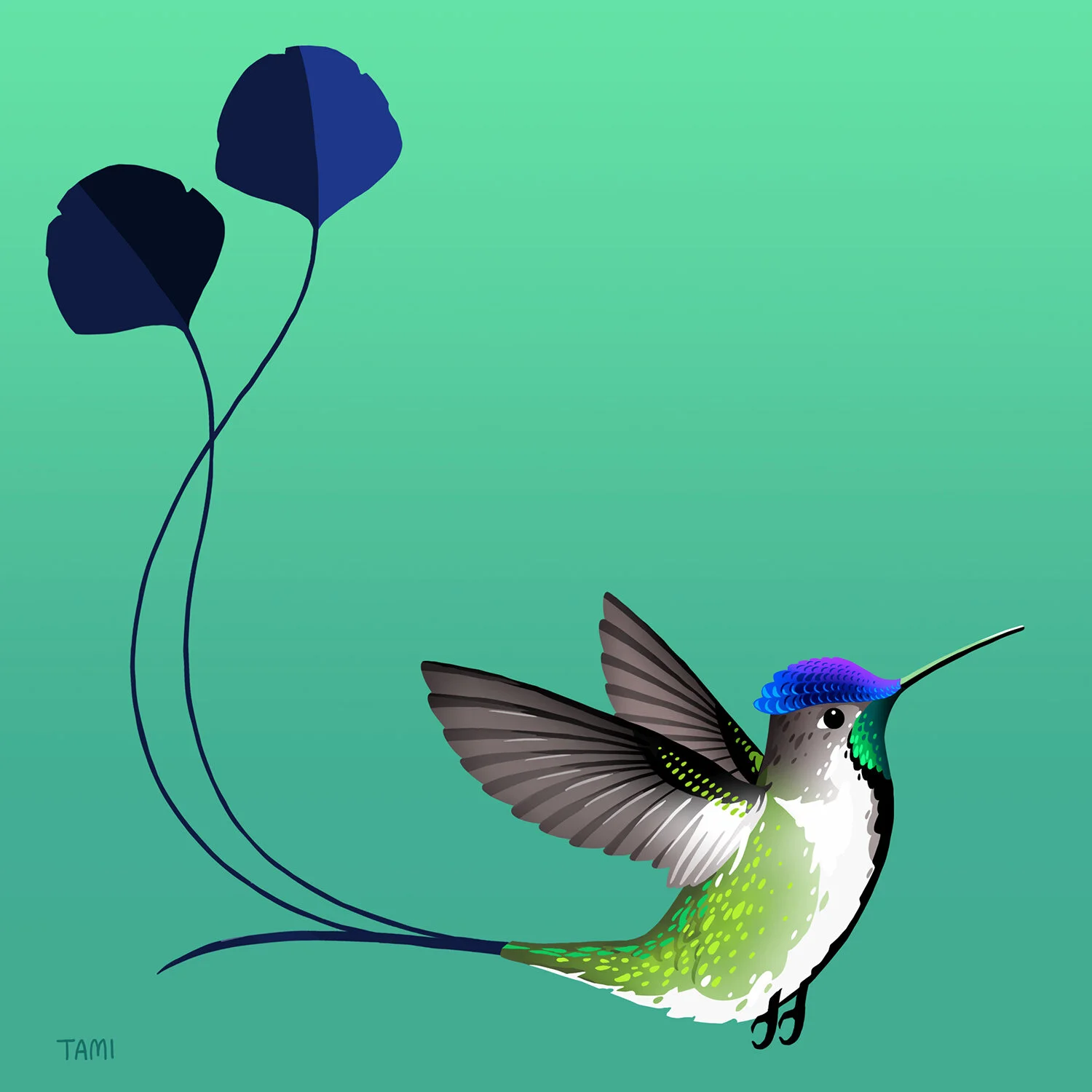 marvellous_spatuletail.jpg