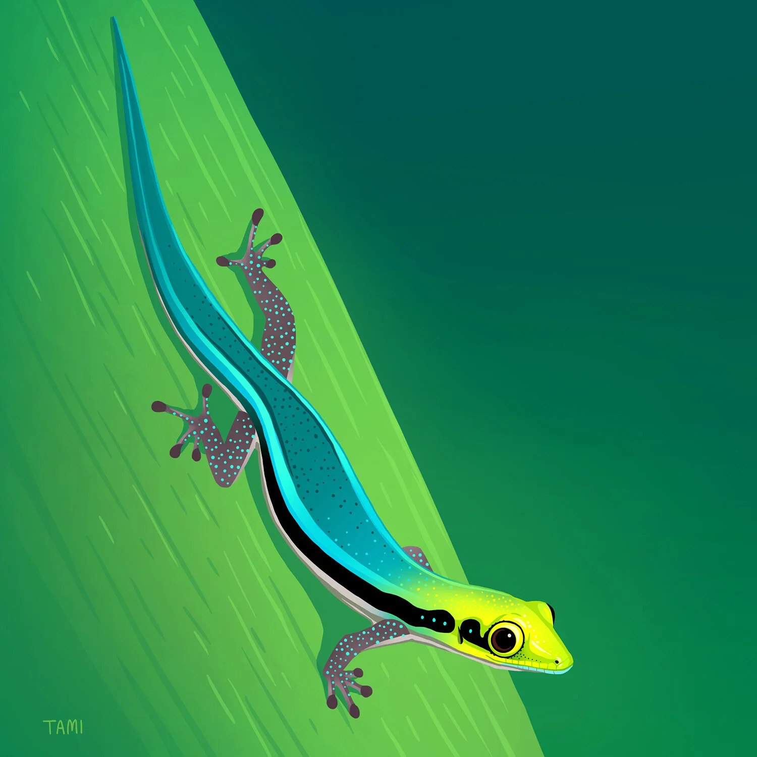 yellowheaded_day_gecko.jpg
