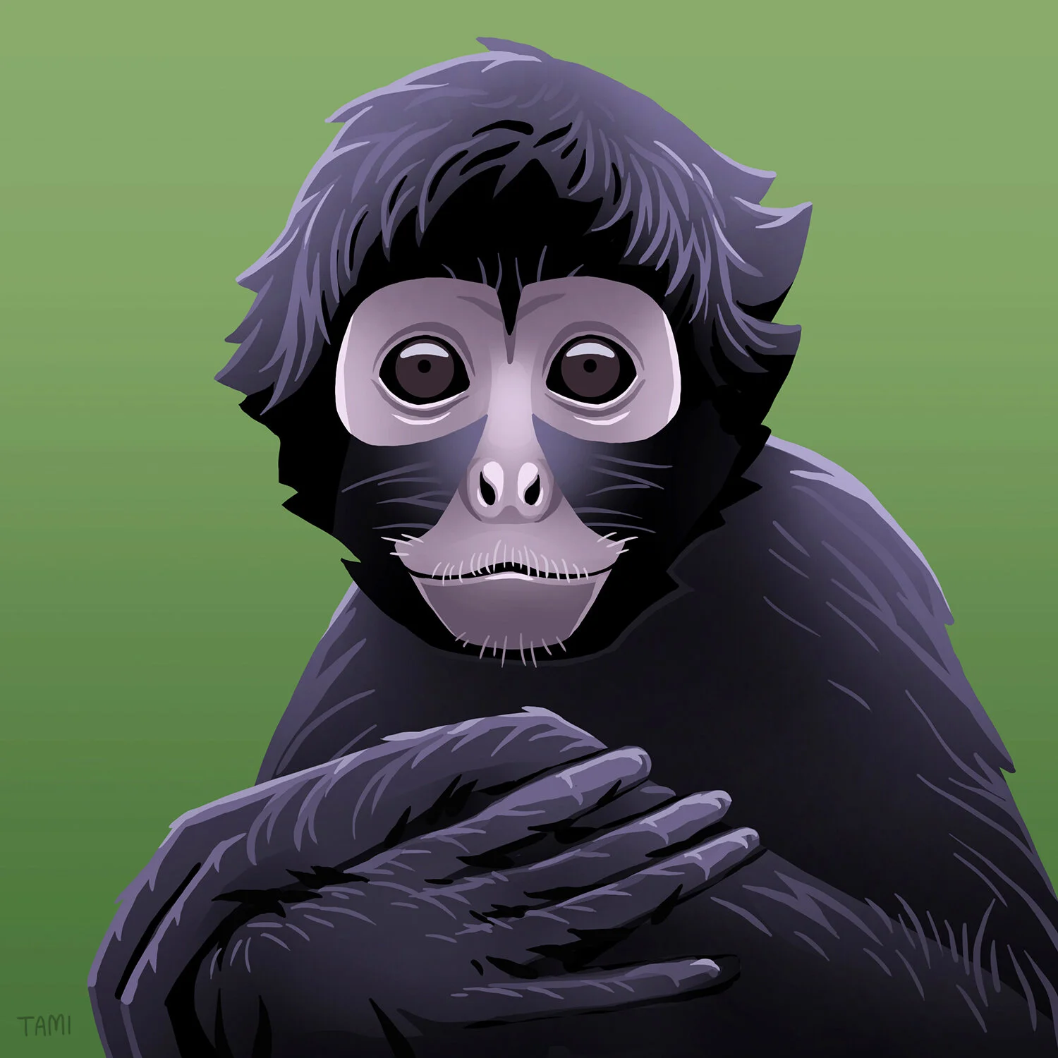 black_spider_monkey.jpg
