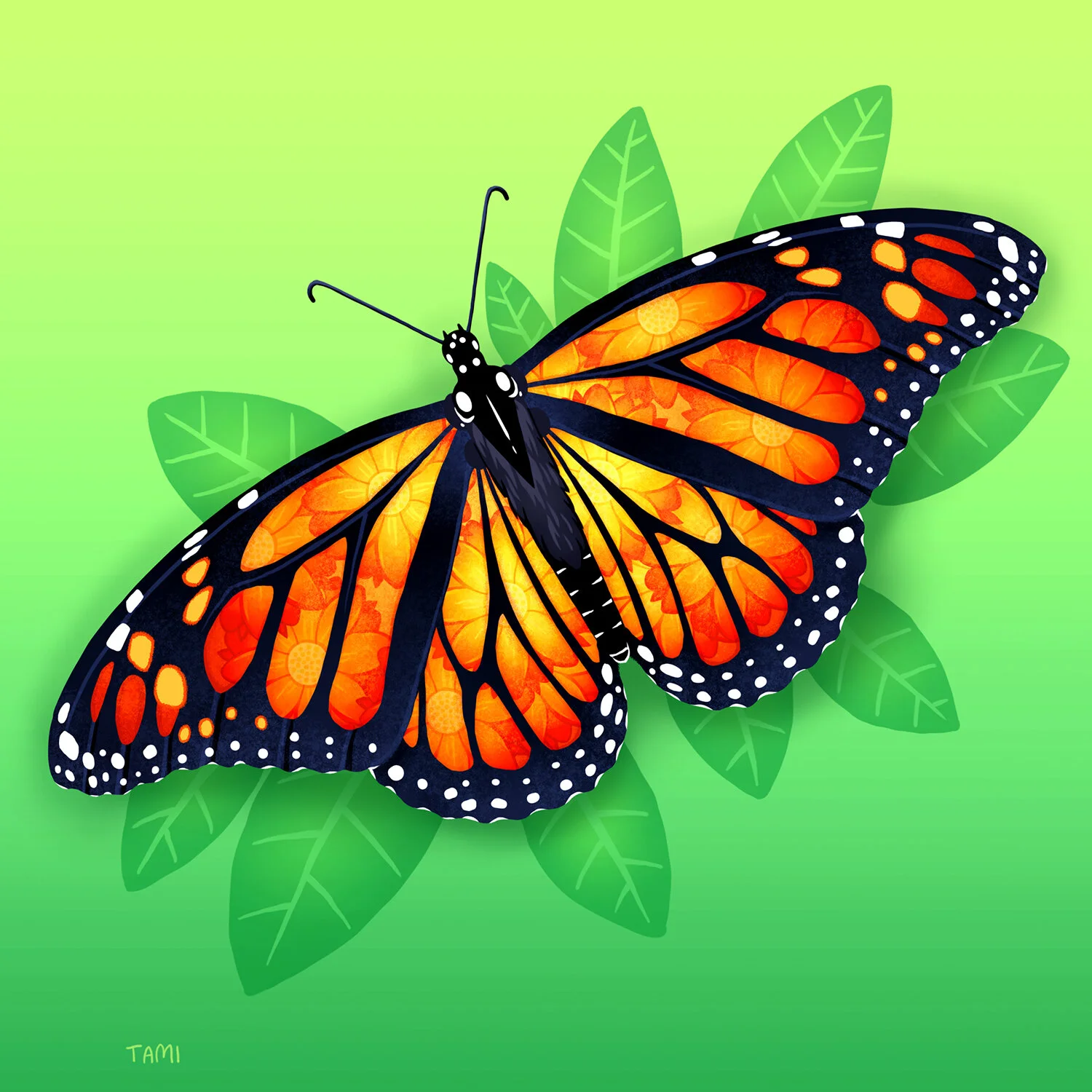 monarch_butterfly.jpg