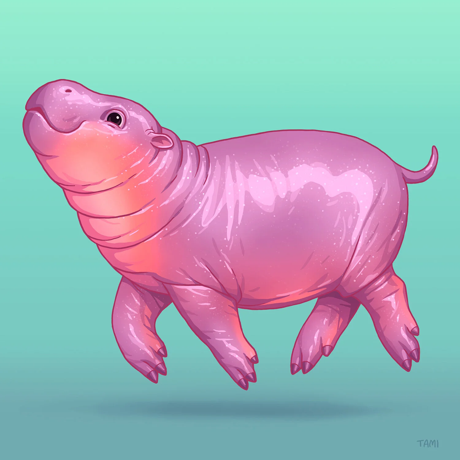 pygmy_hippo.jpg