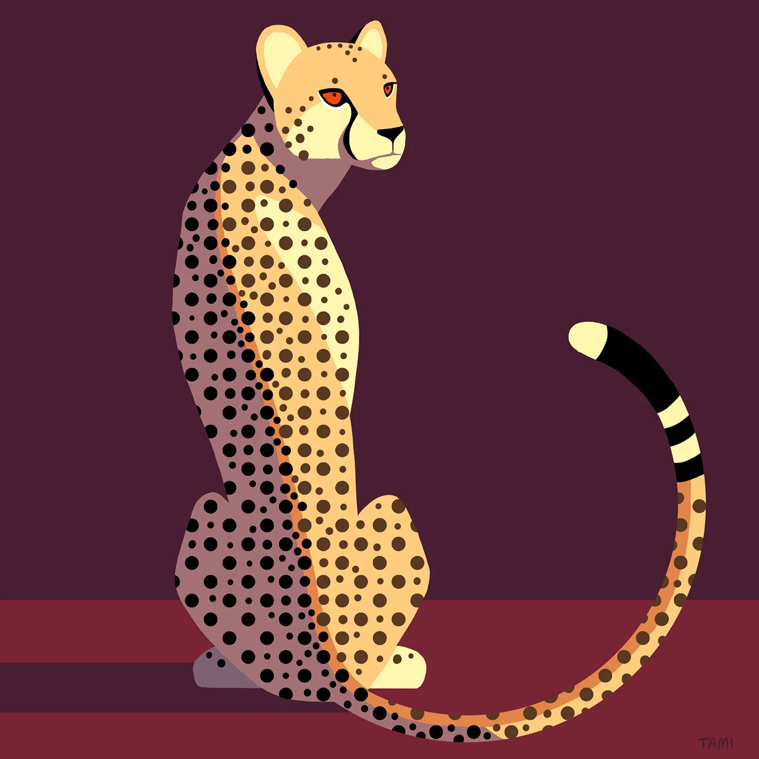 Cheetah.jpg