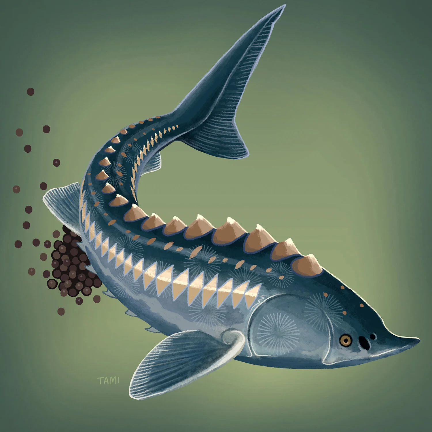 sturgeon.jpg