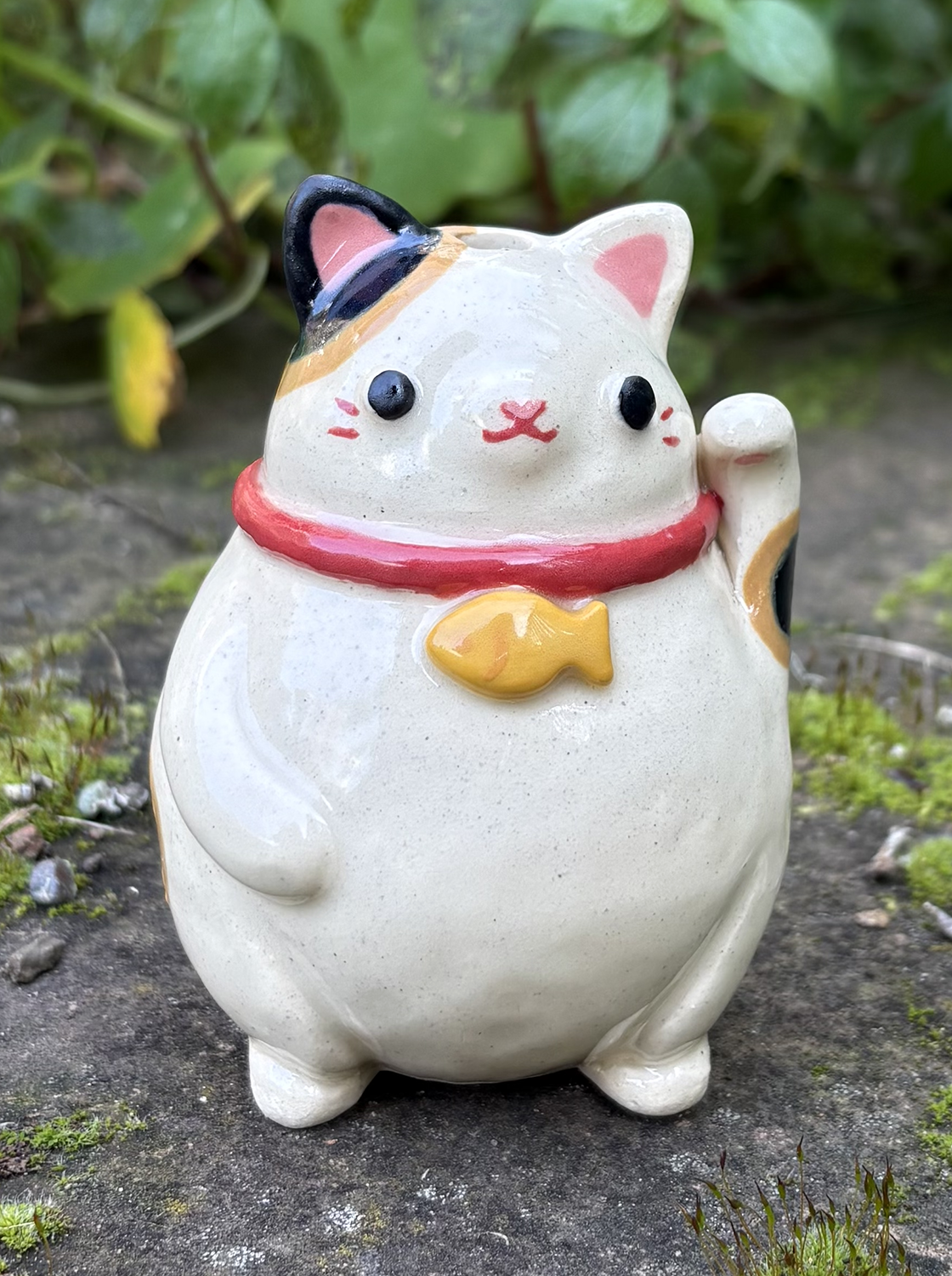 cat.png