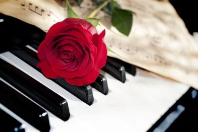 Red rose on piano keys with sheet music at perfect wedding ceremony music