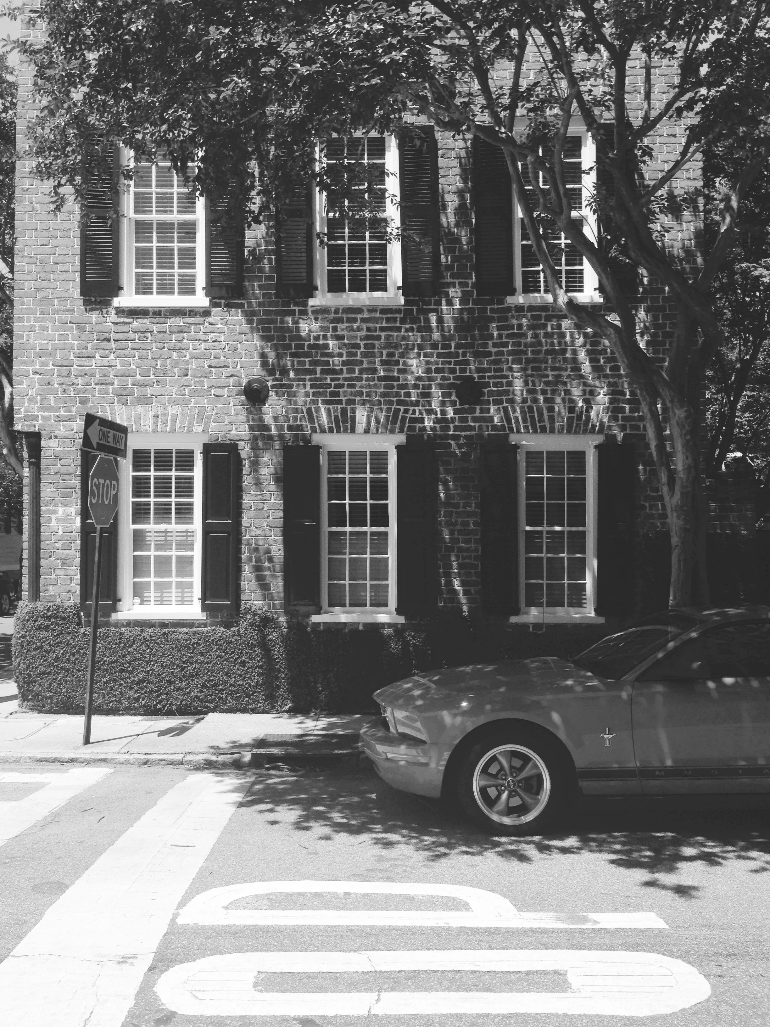 charleston1.jpg