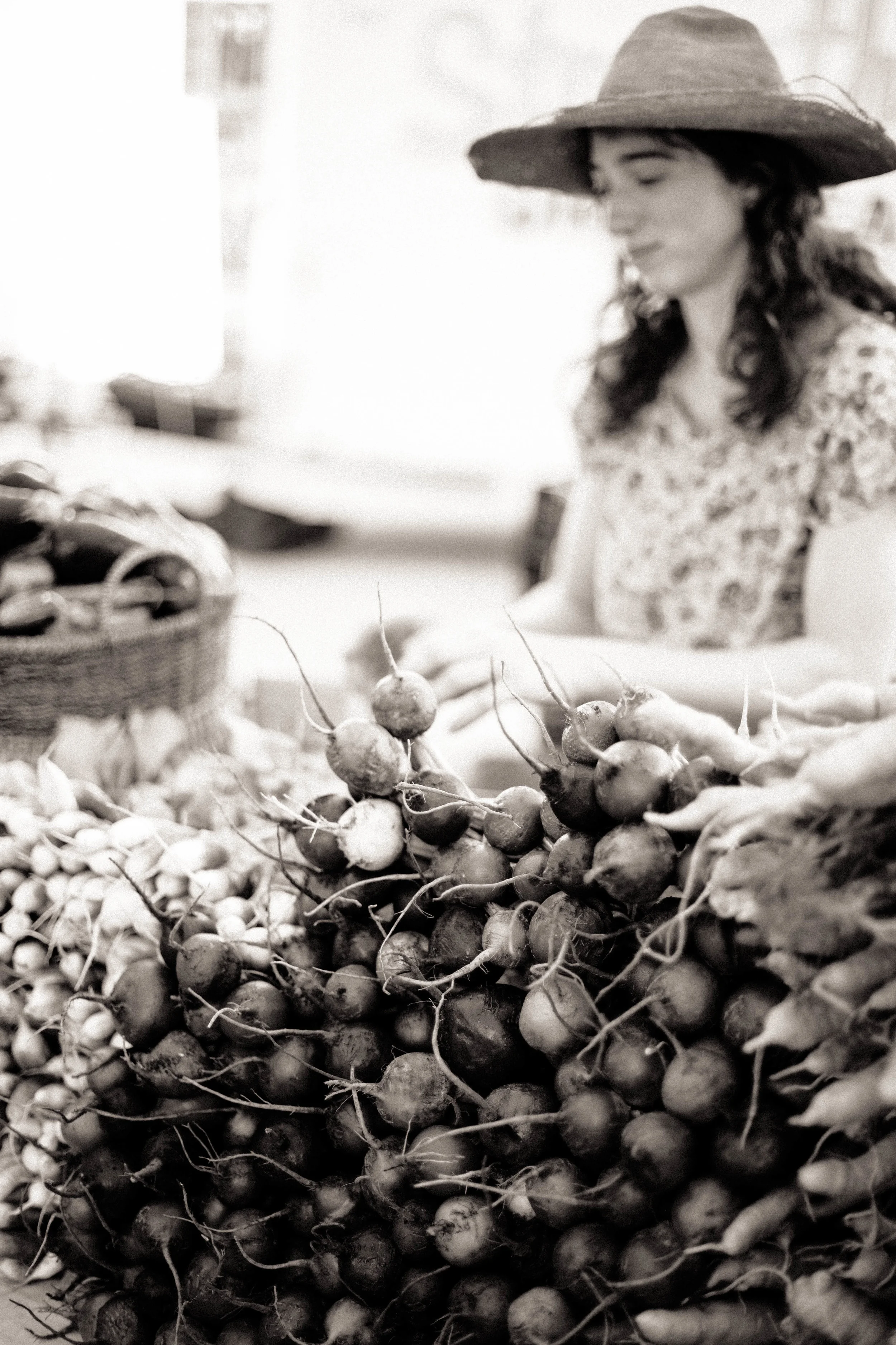 farmmkt02_0913.jpg
