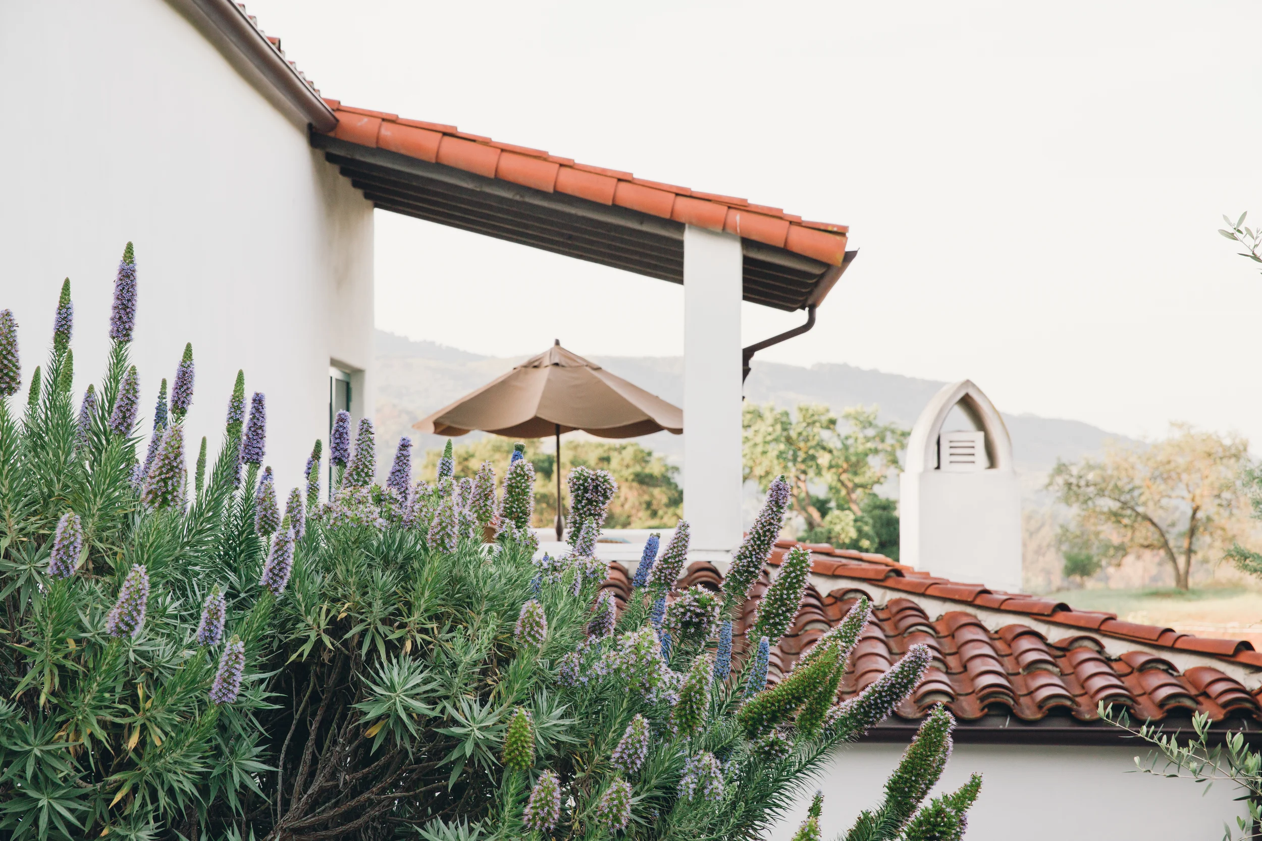Ojai_0414-37.jpg