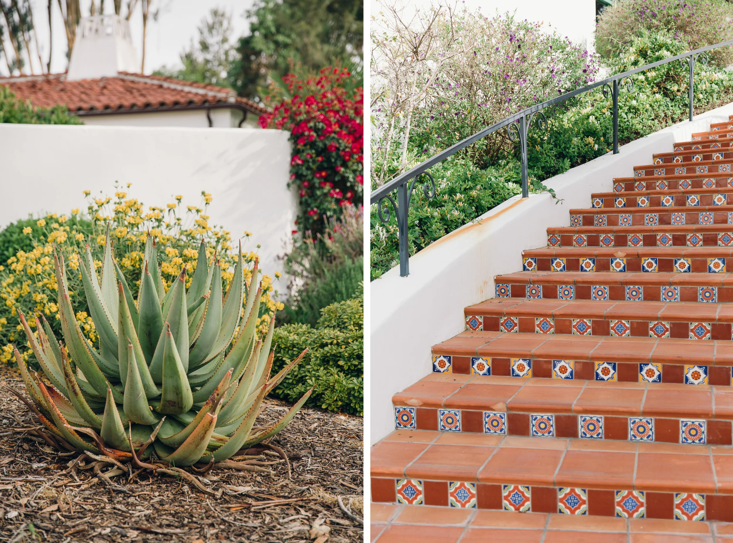 Ojai_0414-64.jpg