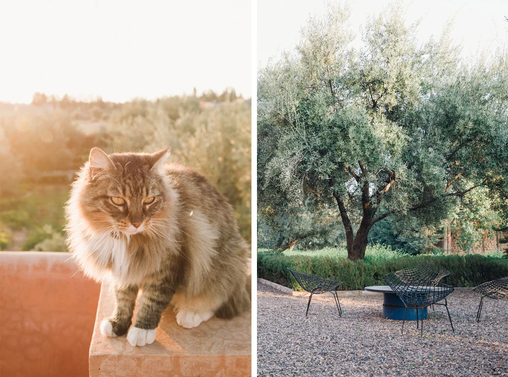Marrakech_Dip12.jpg