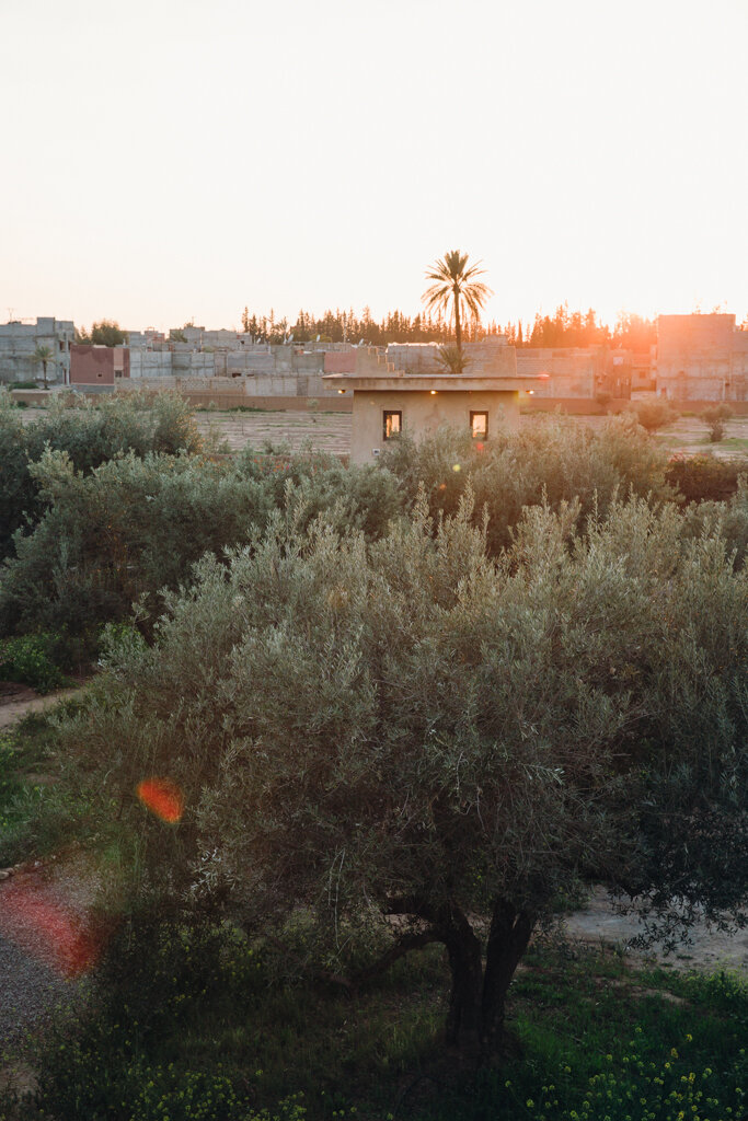 ©AshleySullivanPhotography_Marrakech_Morocco_Sunset.jpg