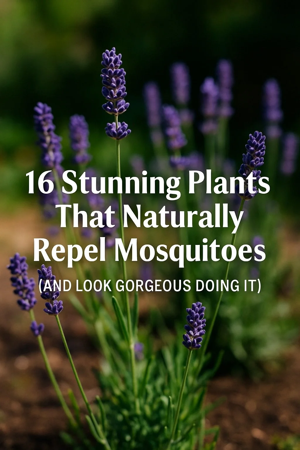 16 Stunning Plants That Naturally Repel Mosquitoes (And Look Gorgeous Doing It)