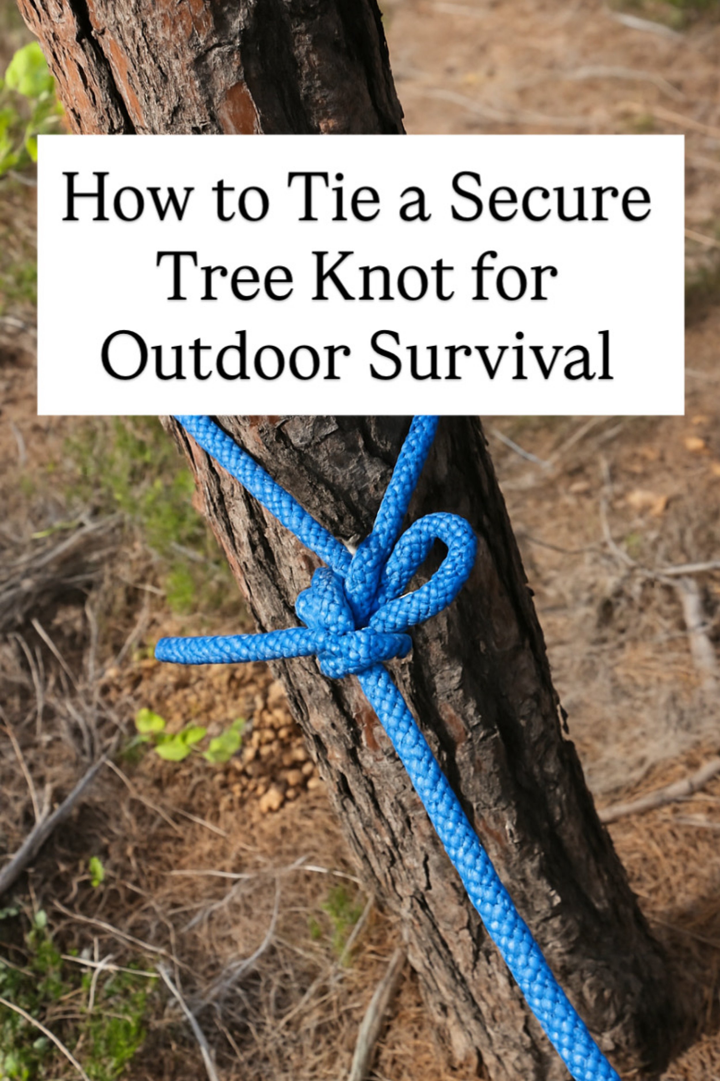 How to Tie a Secure Tree Knot for Outdoor Survival
