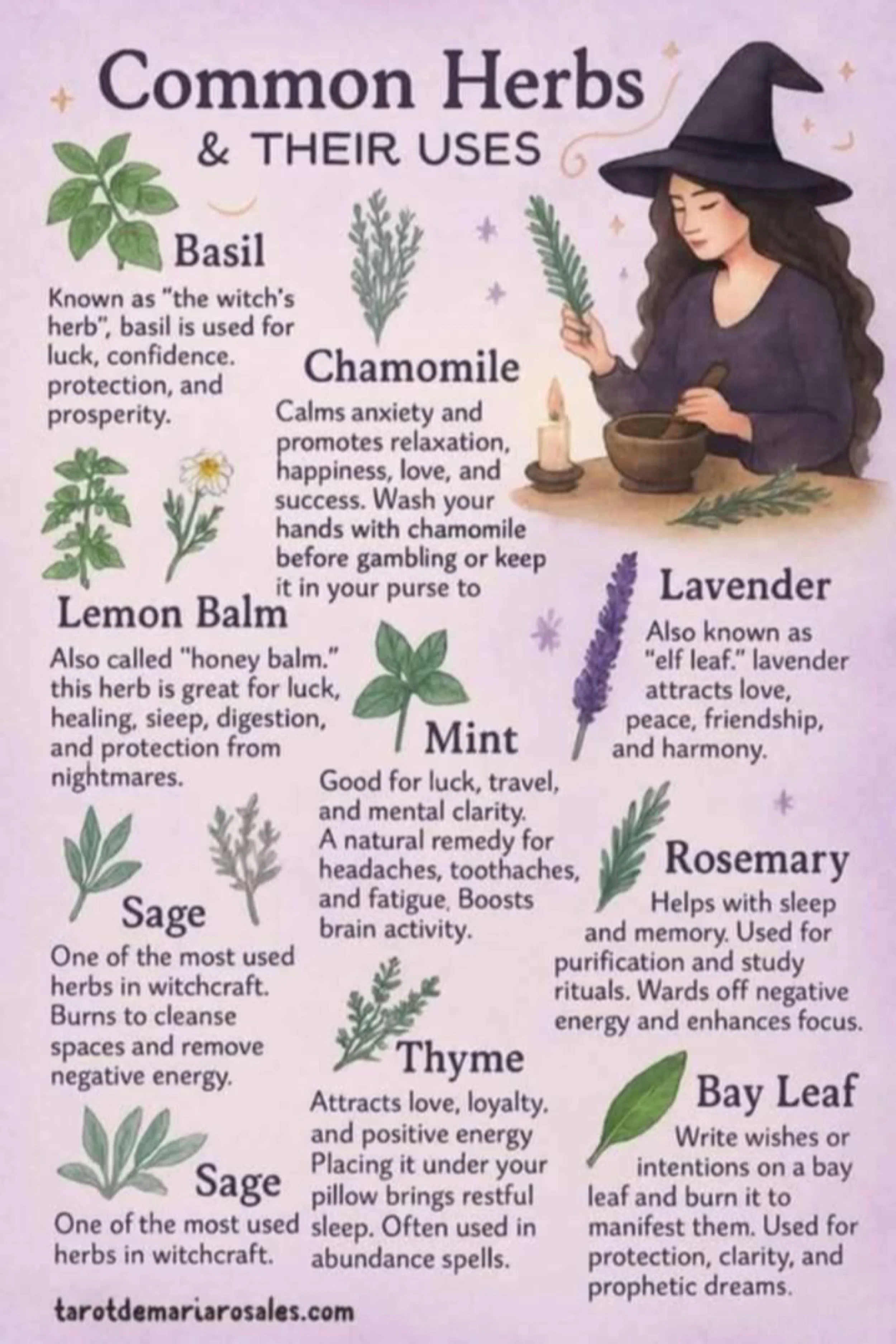 Common Herbs and Their Magical Uses: A Practical Guide for Modern Witches