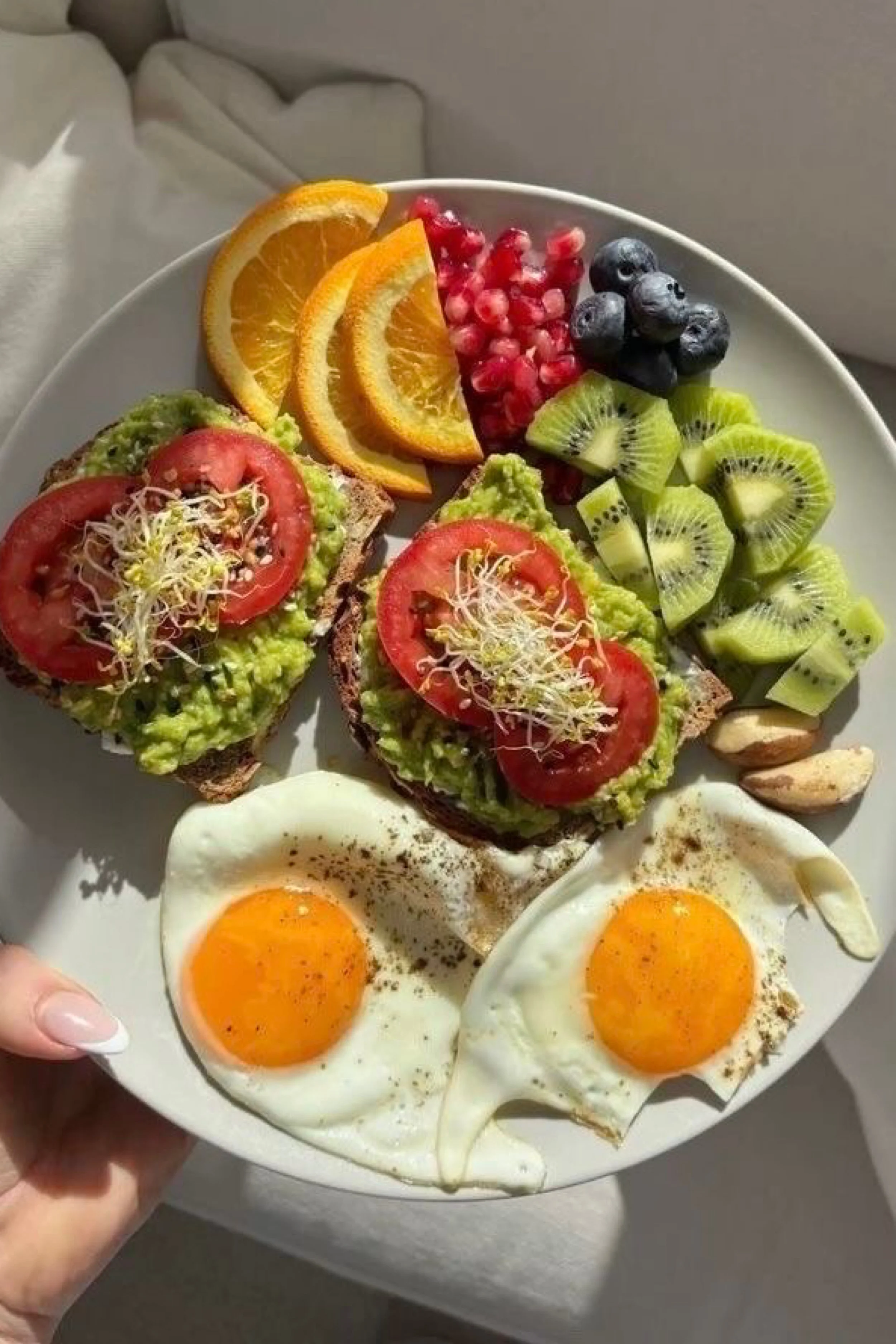 Sunlit Avocado Toast Breakfast Plate: A Morning Arranged Like a Still Life