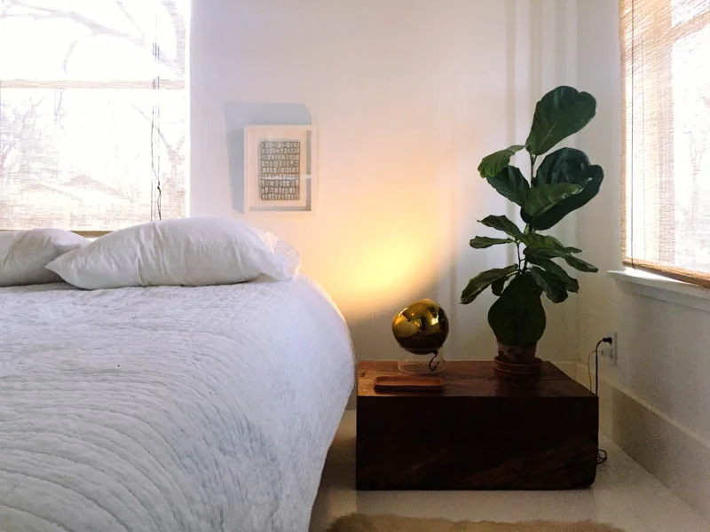 1313 Comal : Sneak Peek