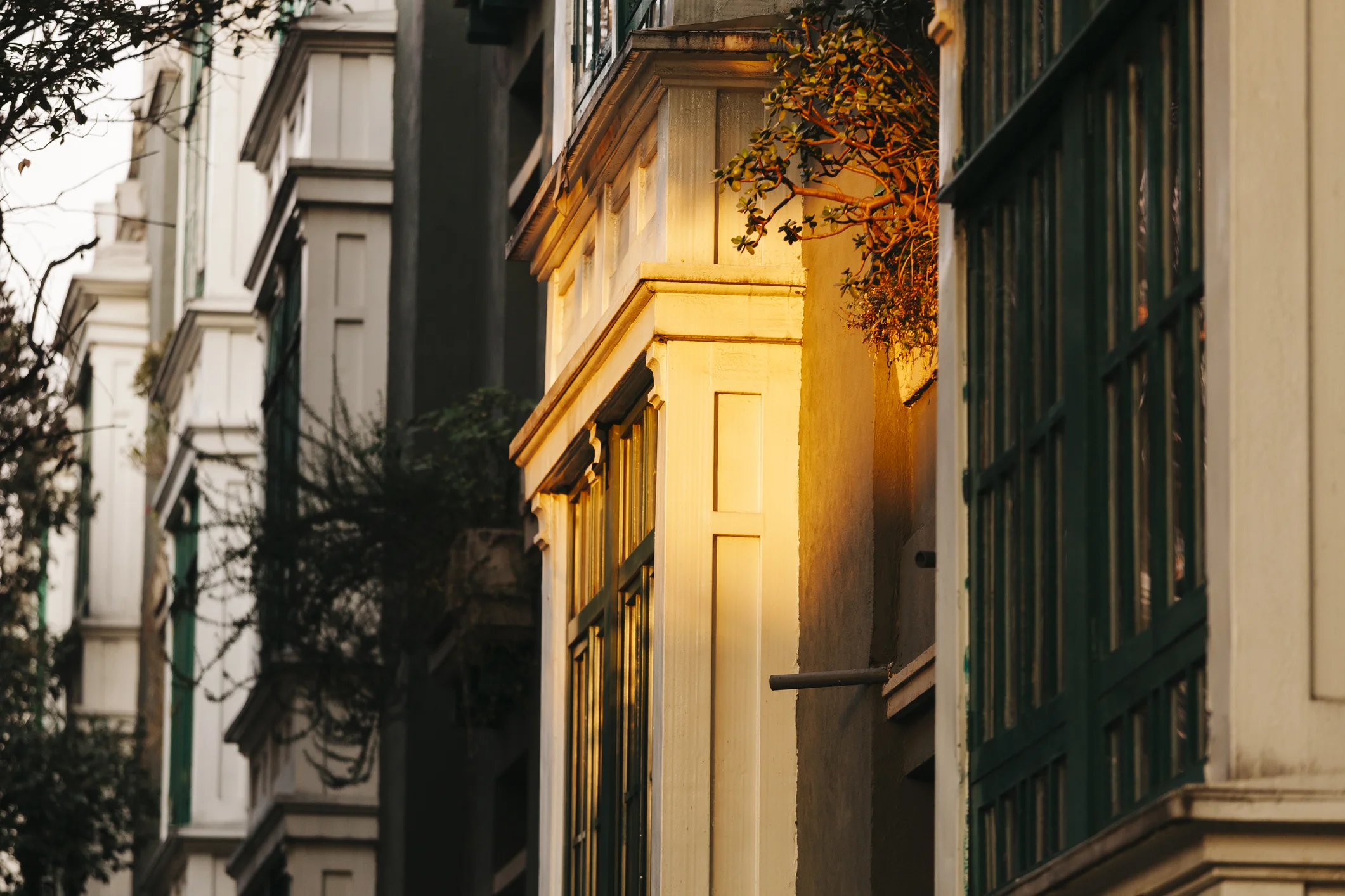 A design (and food) lovers guide to Mexico City