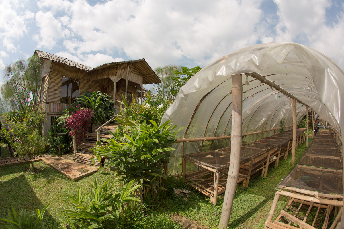 Coffee Base Camp, Farmer Buying Station and Coffee Drying Facility, Panawuan Village