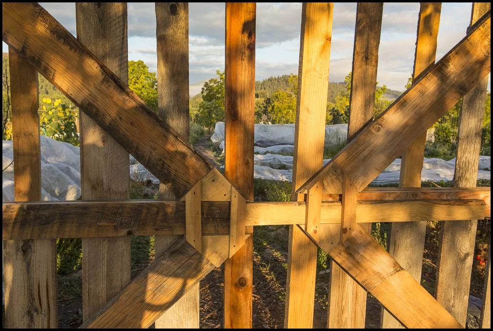 Our main garden and gate, before opening and working in the morning.