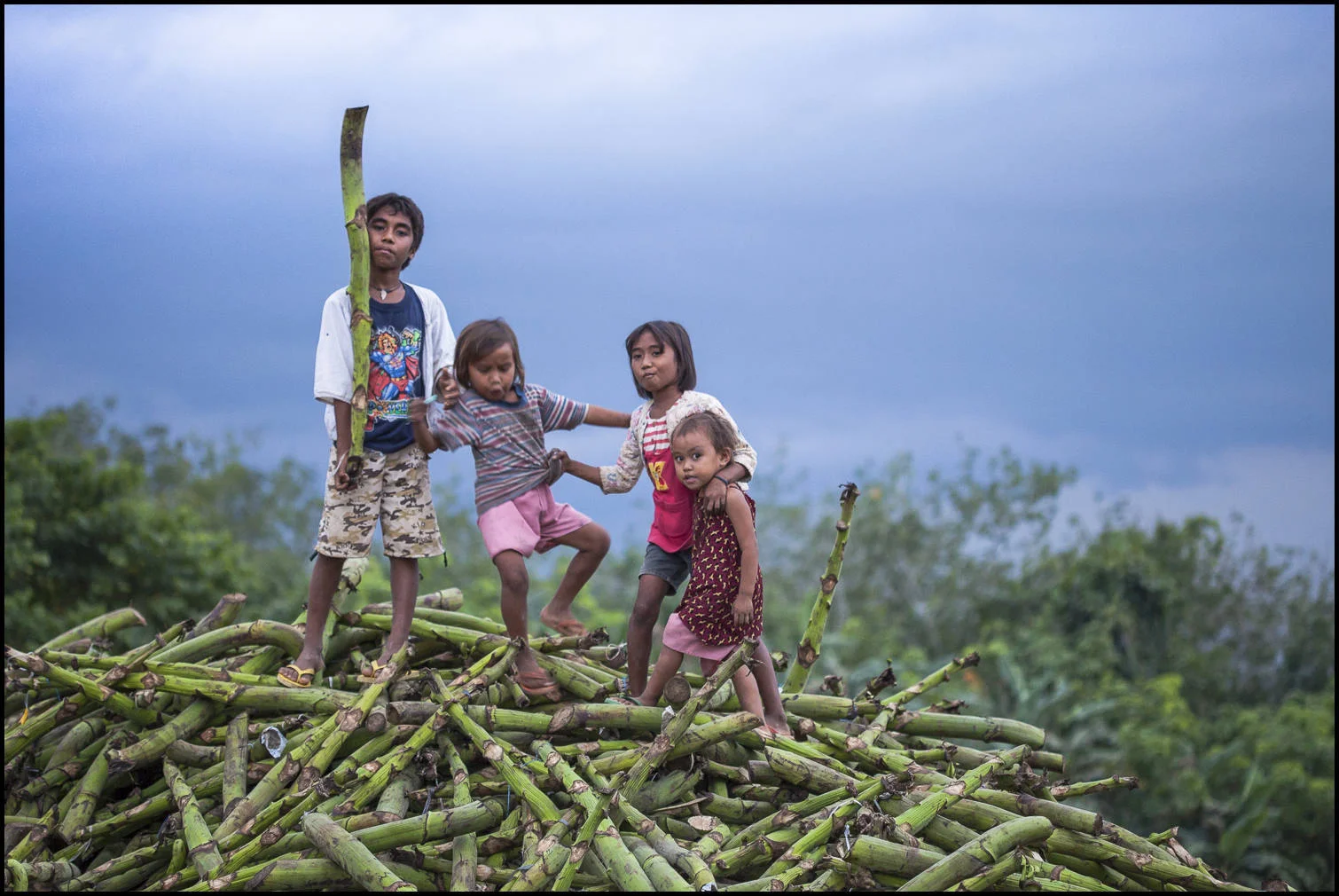 As the a storm approaches, smallholder's children play on a pile of banana stalks discarded from a recent banana harvest.