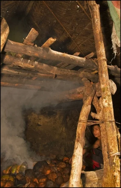 A coconut farmer dries freshly harvested coconuts so the dried meat can be packed out of the forest and re-sold to a buyer that will process coconut oil.