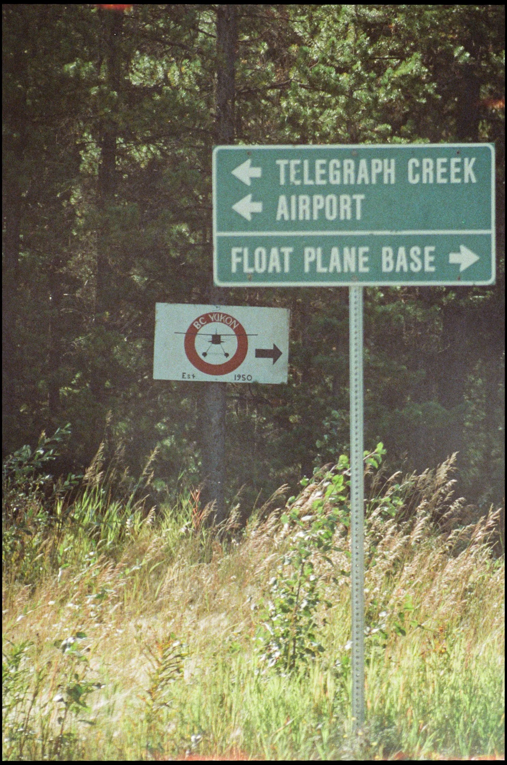 telegraph-5.jpg