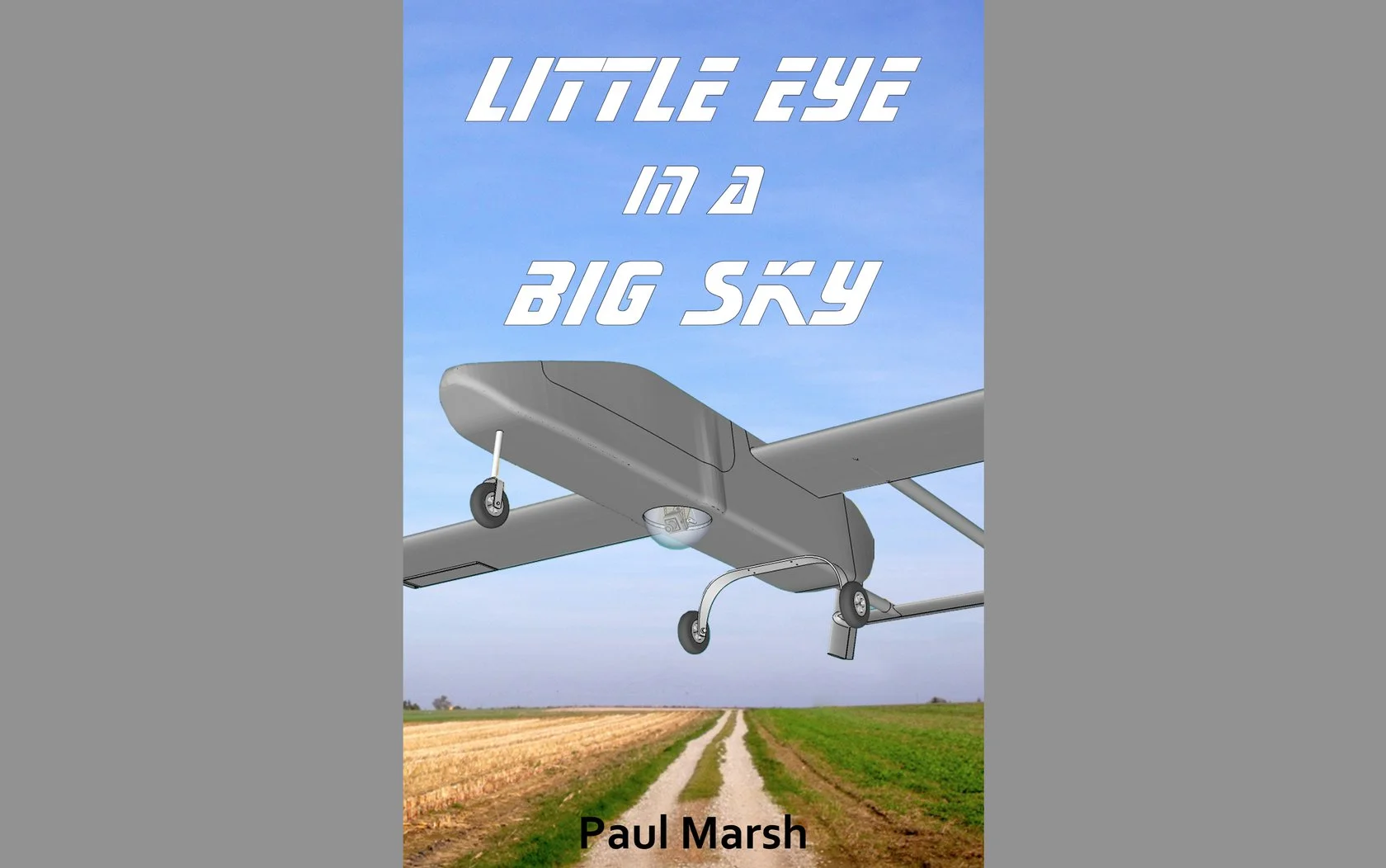 little-eye-big-sky.jpg