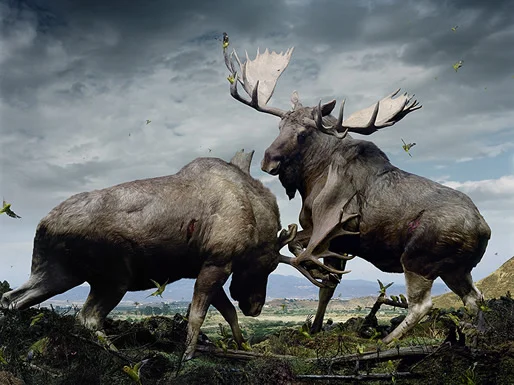 Simen Johan