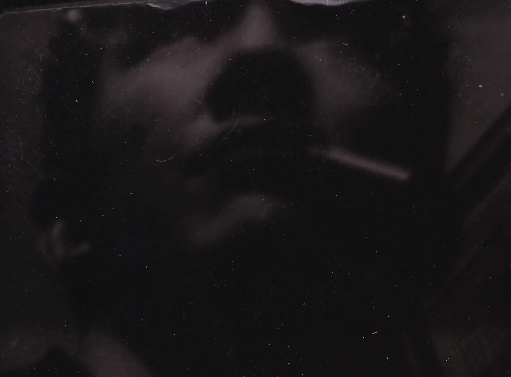 The Dark Room 2010.jpg