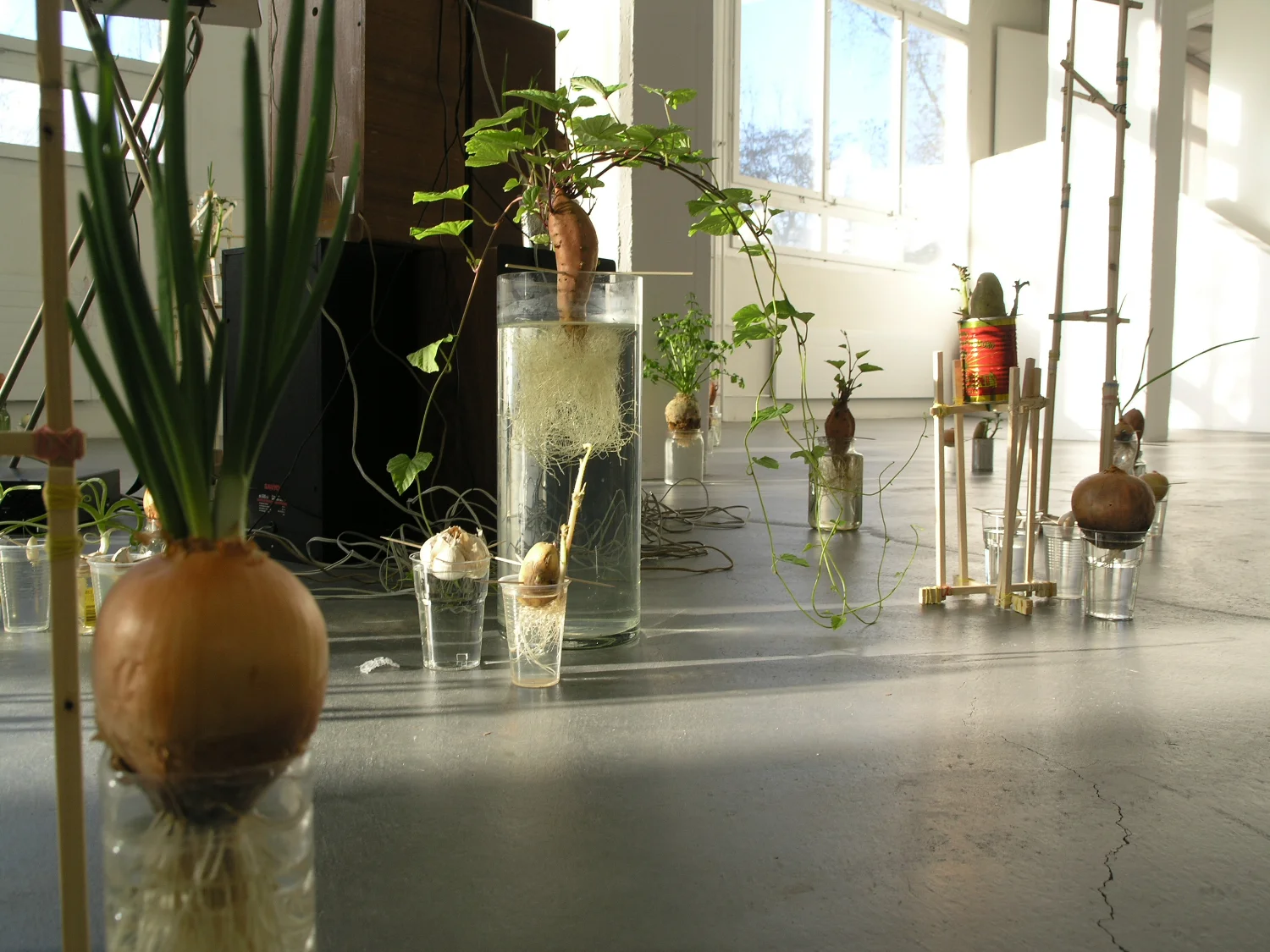 Colour Field (Remix)07.jpeg