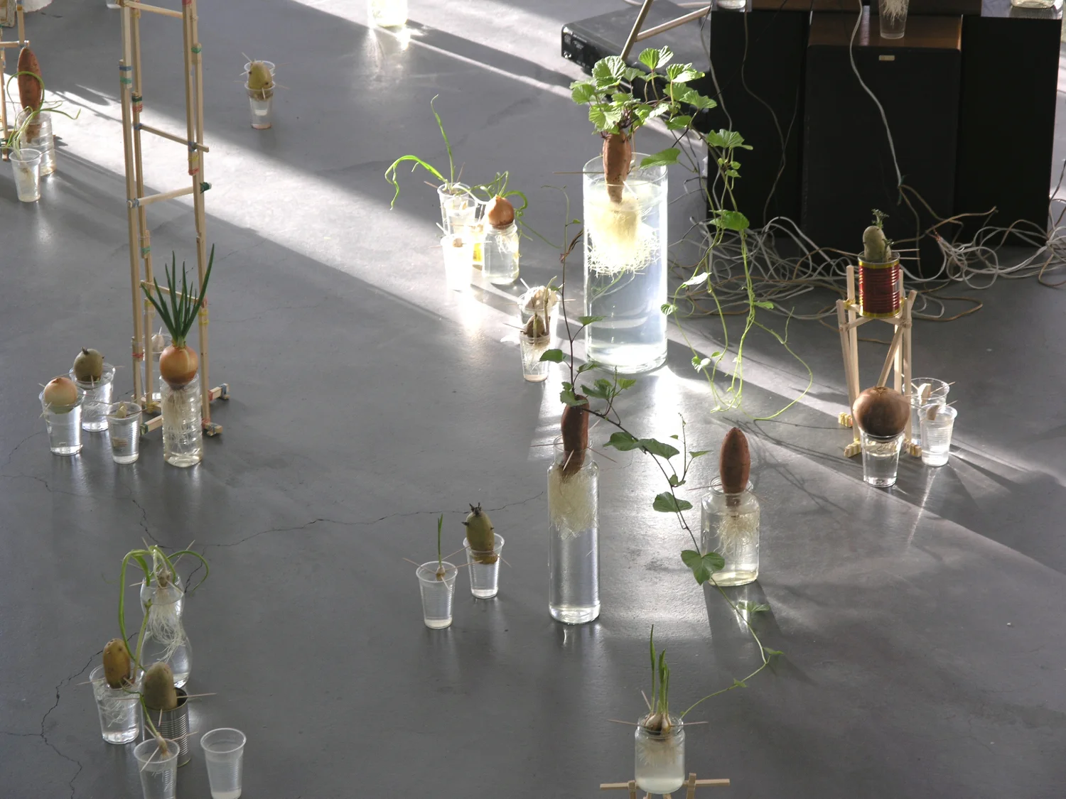 Colour Field (Remix)12.jpeg